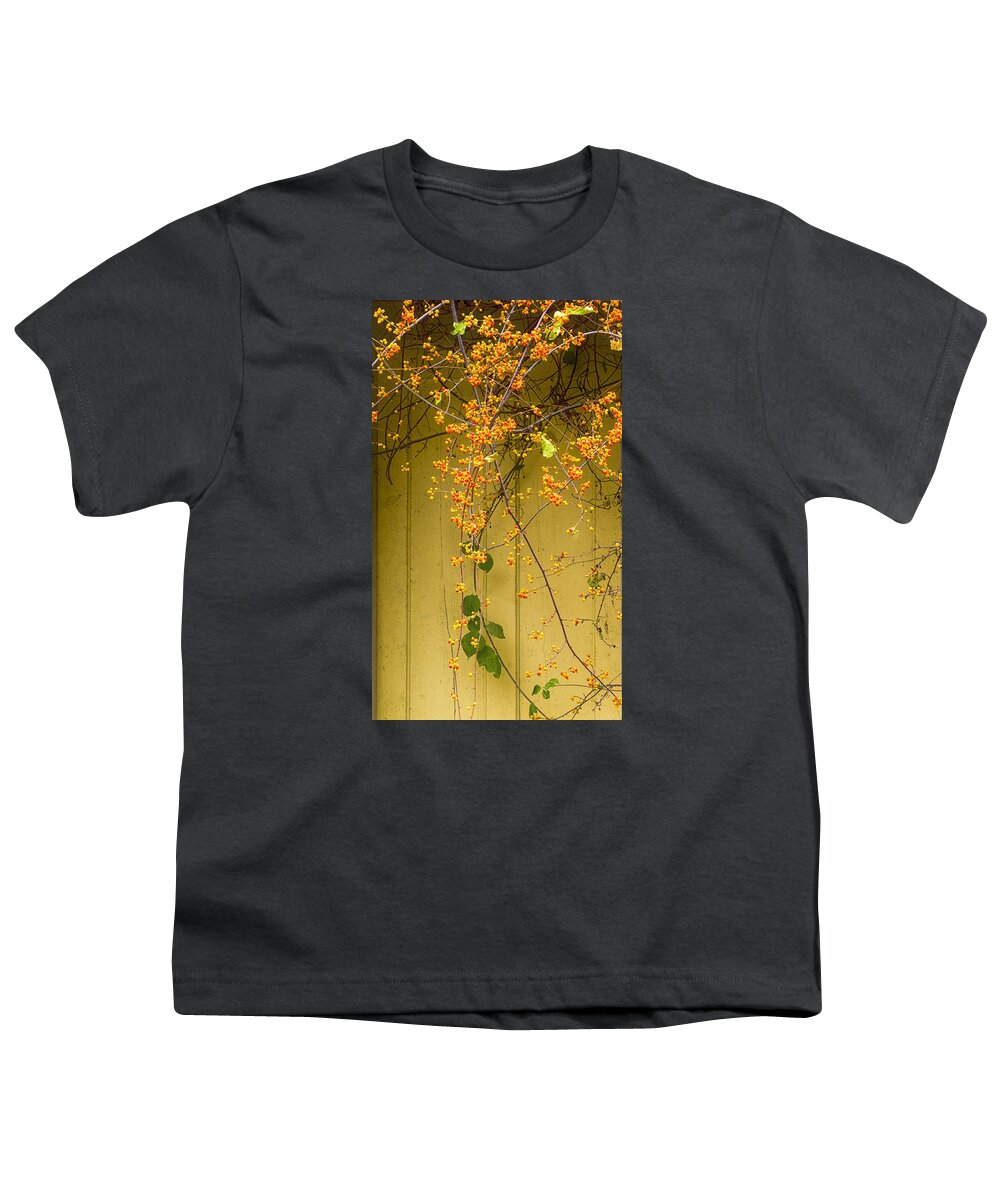 Cone Flowers Youth T-Shirt featuring the photograph Bittersweet Vine by Tom Singleton
