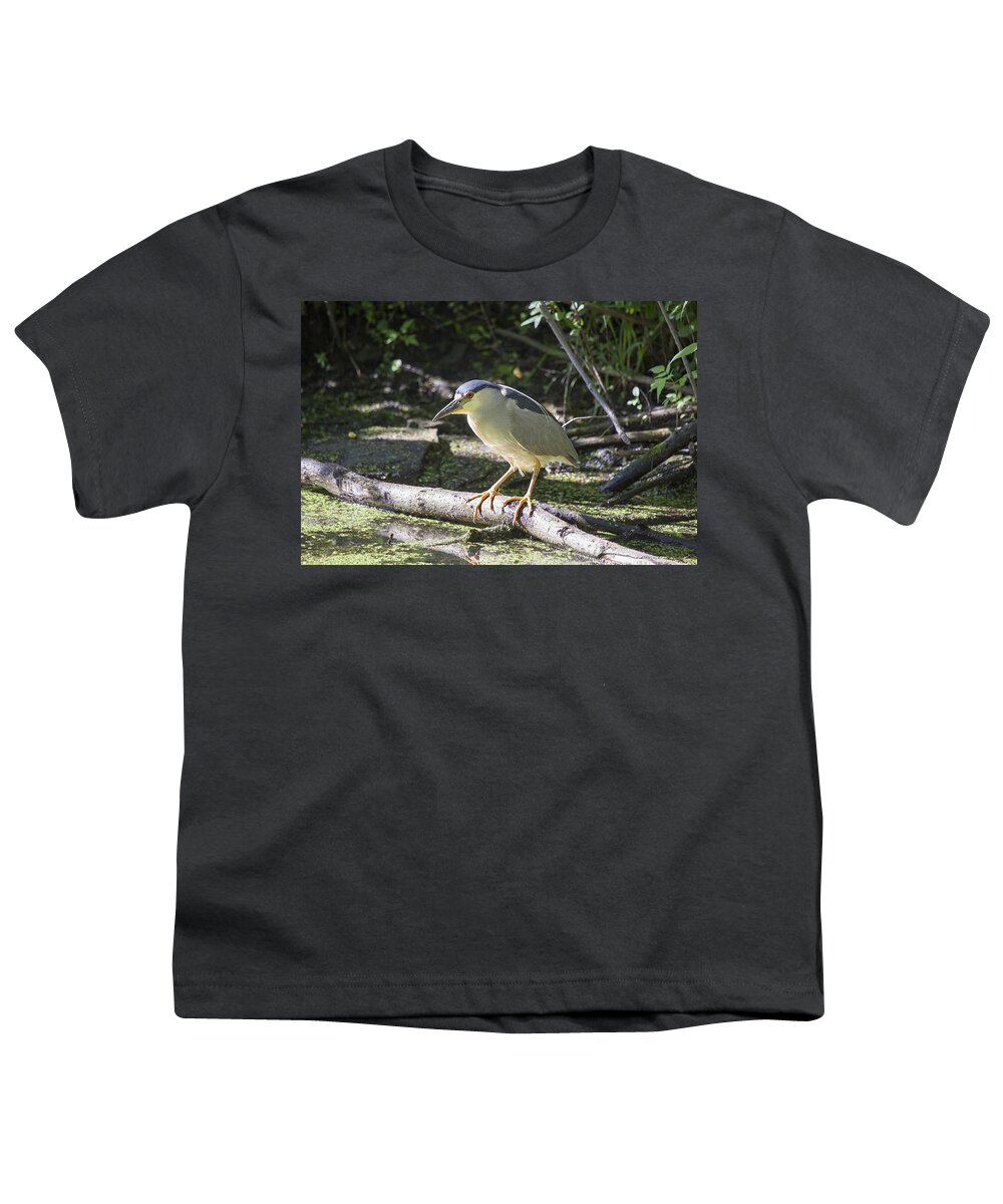 Heron Youth T-Shirt featuring the photograph Black-crowned Night Heron by Eunice Gibb