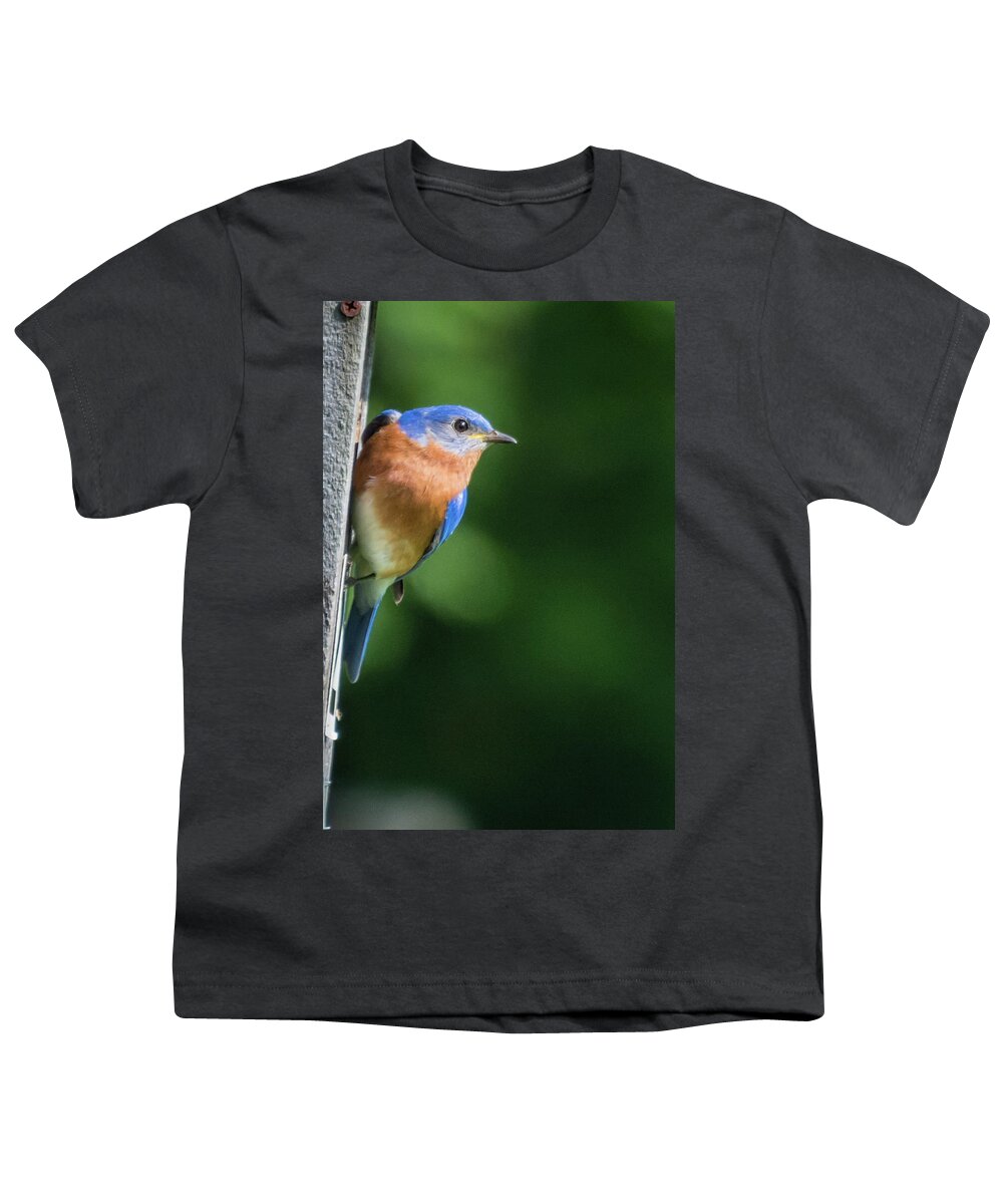Dunbar Cave State Park Youth T-Shirt featuring the photograph Blue Bird by John Benedict