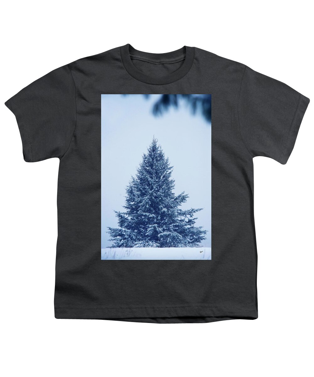 Blue Christmas Youth T-Shirt featuring the photograph Blue Christmas Tree by Alana Ranney