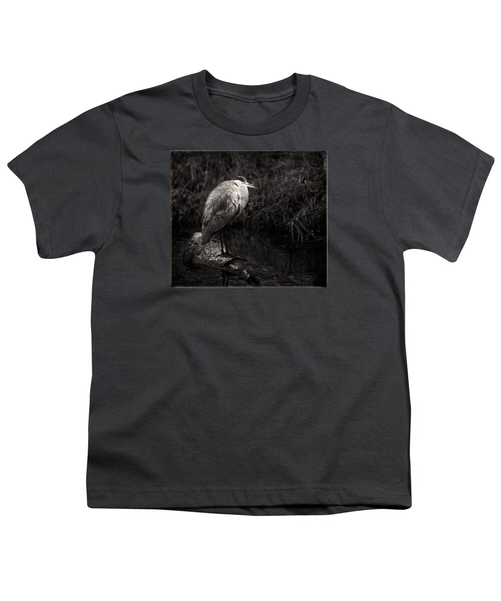 Animals Youth T-Shirt featuring the photograph Blue Heron in Black and White by Peter V Quenter
