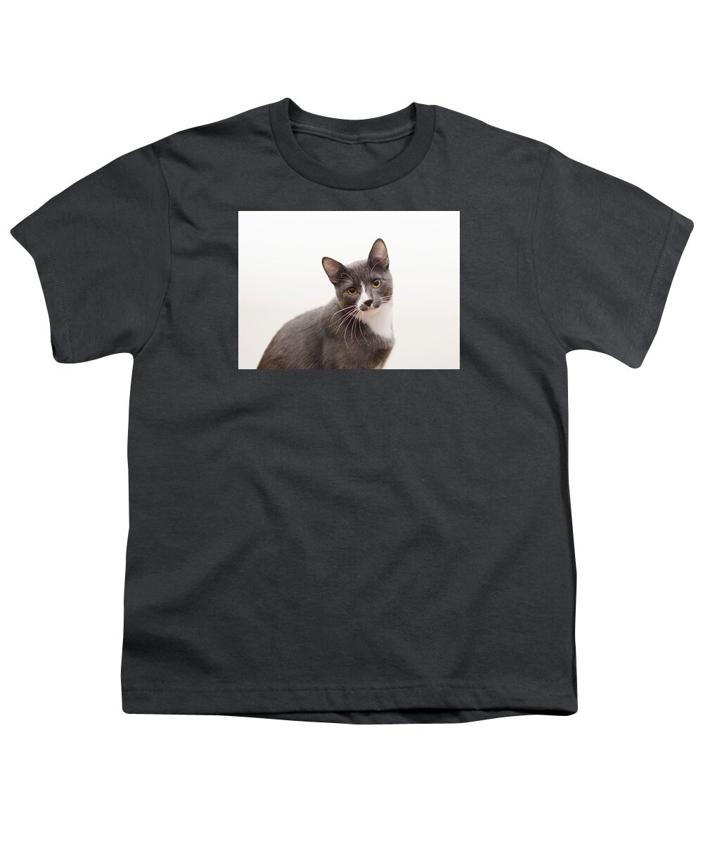 Grey And White Cat Youth T-Shirt featuring the photograph Blue by Irina ArchAngelSkaya