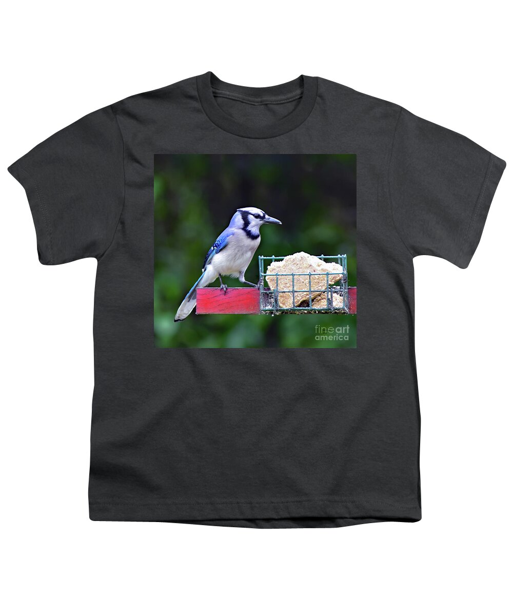 Bird Youth T-Shirt featuring the photograph Blue Jay - Cyanocitta Cristata by DB Hayes
