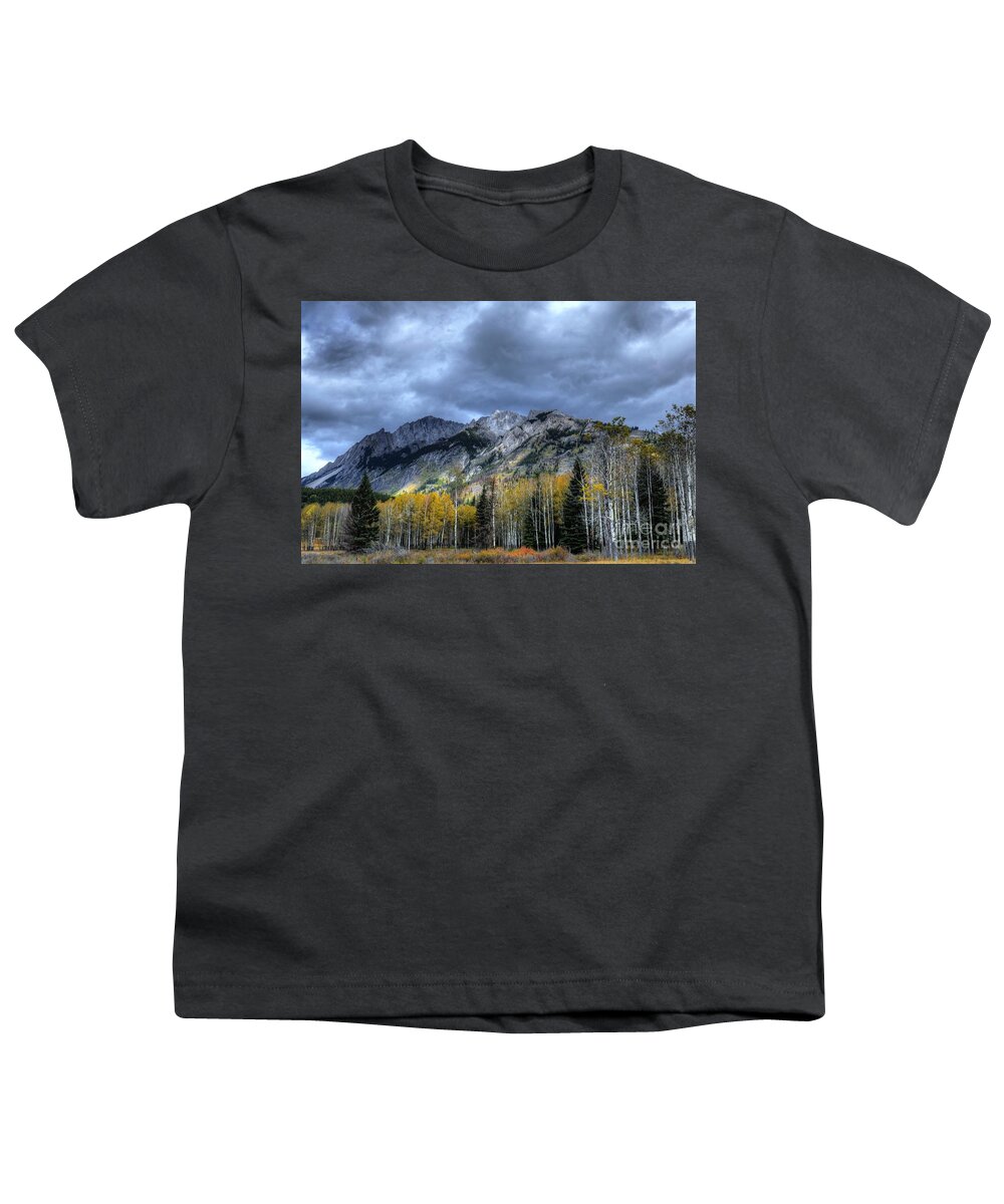 Animals Youth T-Shirt featuring the photograph Bow Valley Parkway Banff National Park Alberta Canada IV by Wayne Moran