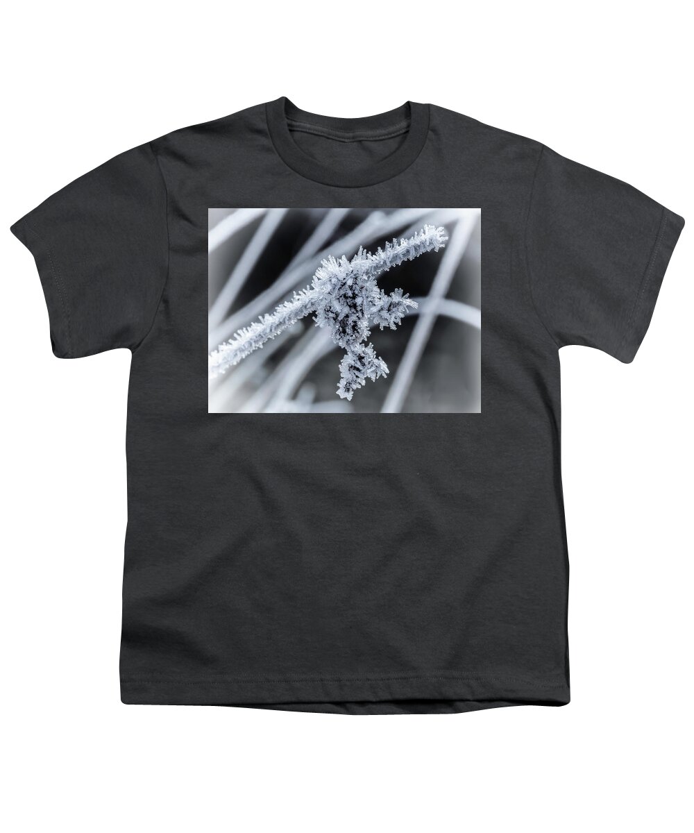Ice Youth T-Shirt featuring the photograph Briefly Beautiful by Nick Bywater