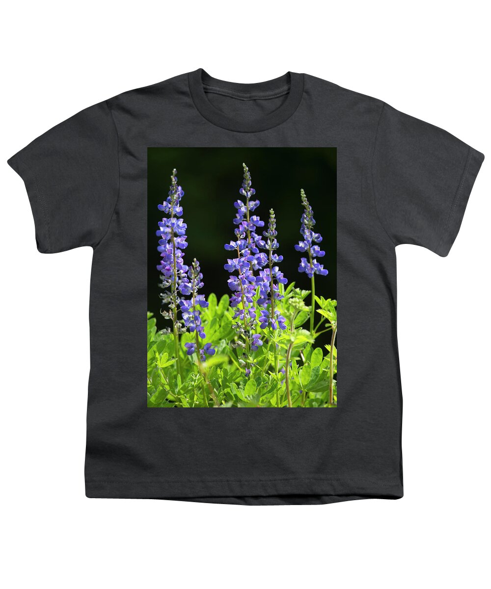 Lupines Youth T-Shirt featuring the photograph Brilliant Lupines by Elvira Butler