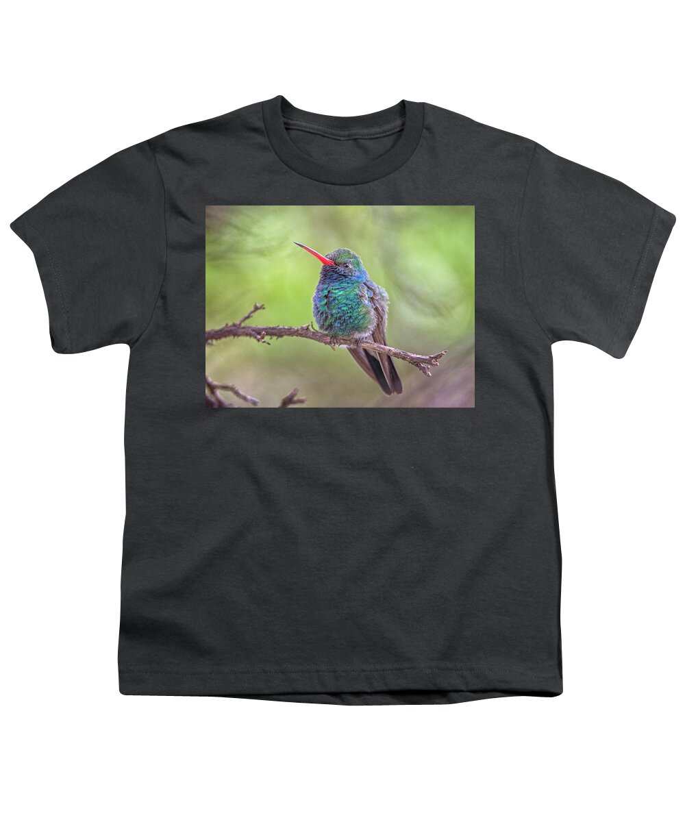 Broad Youth T-Shirt featuring the photograph Broad-billed Hummingbird 3652 by Tam Ryan