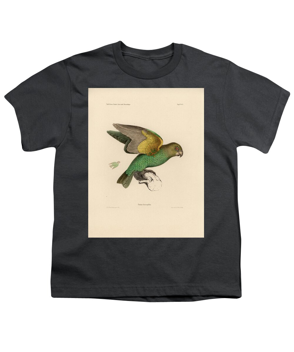 Brown-headed Parrot Youth T-Shirt featuring the drawing Brown-headed Parrot, Piocephalus cryptoxanthus by J D L Franz Wagner
