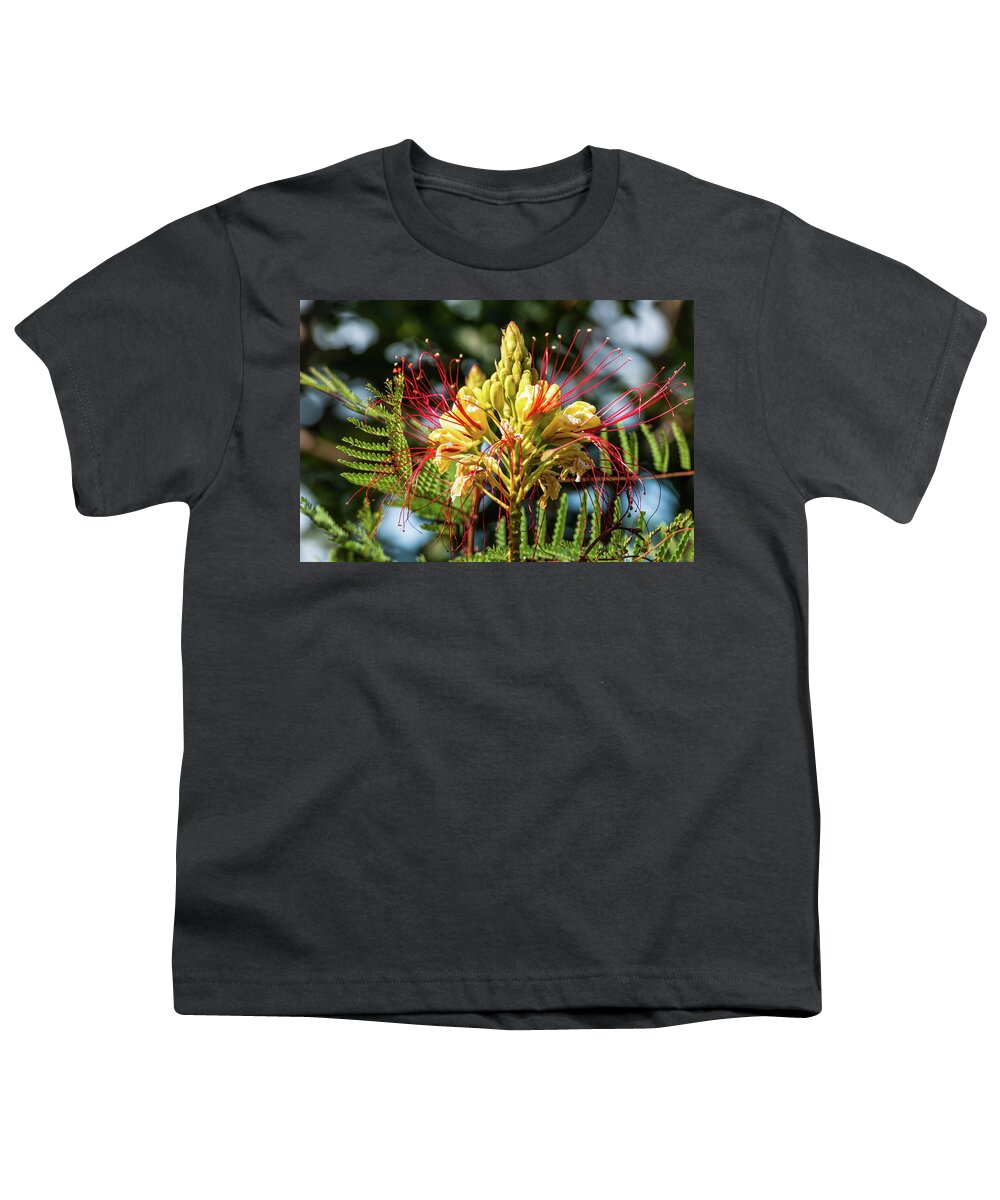 Flower Youth T-Shirt featuring the photograph Burst Of Beauty by Charles McCleanon