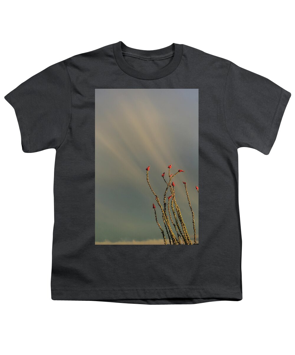 Ocotillo Youth T-Shirt featuring the photograph Burning Bush by David Diaz