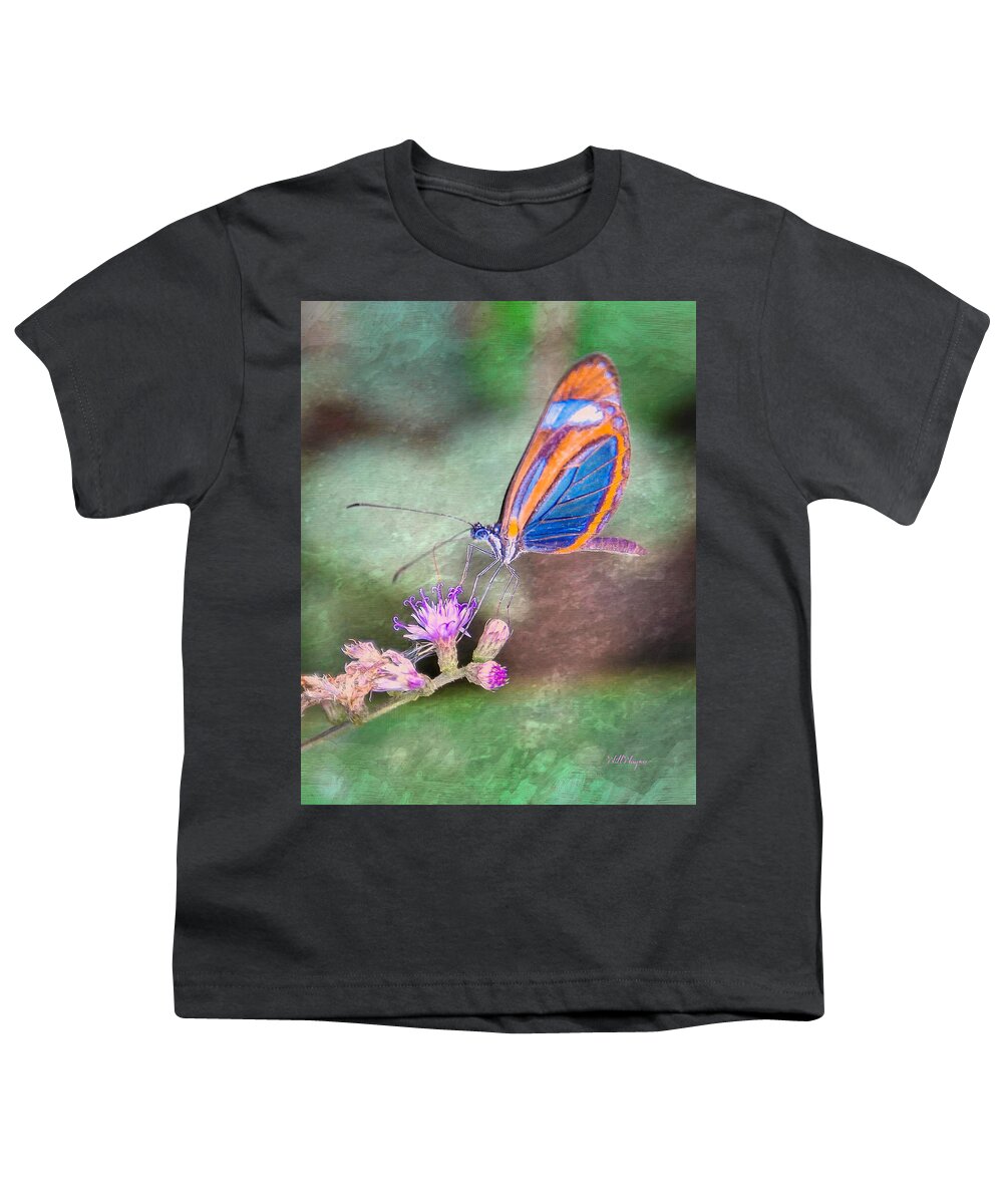 Butterfly Youth T-Shirt featuring the photograph Butterfly #7 by Will Wagner