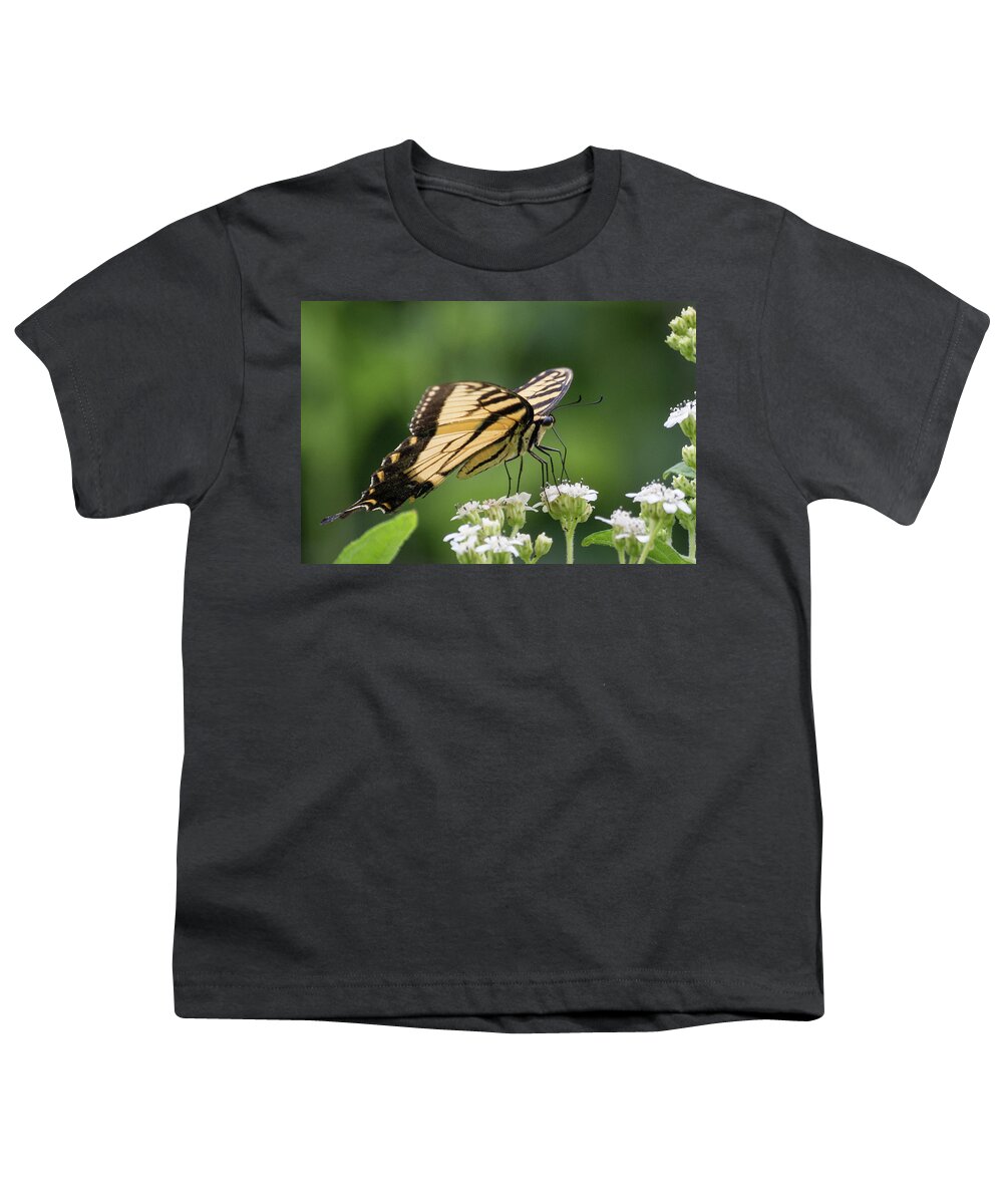 Wildlife Youth T-Shirt featuring the photograph Butterfly Drinking by John Benedict