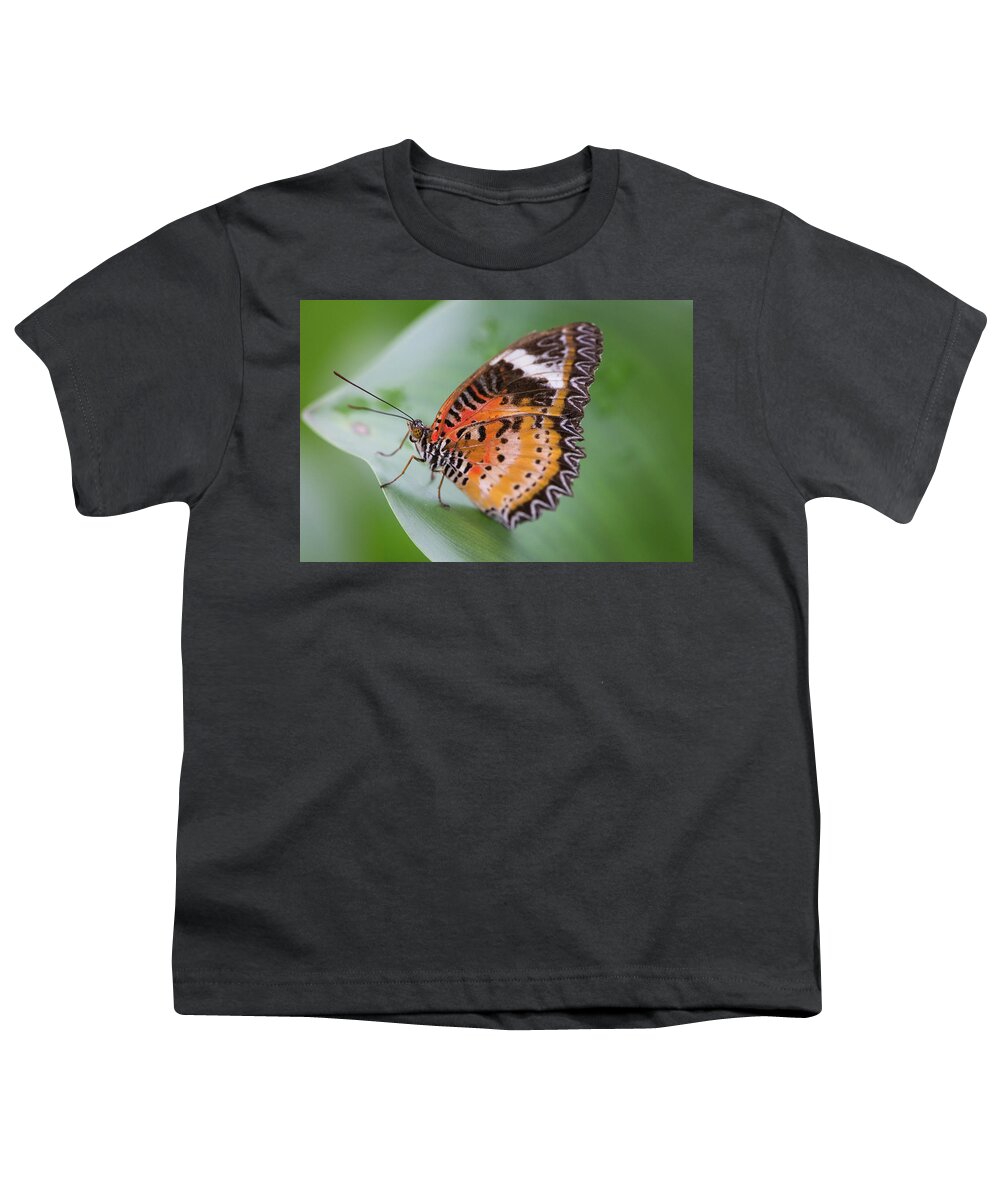 Animal Youth T-Shirt featuring the photograph Butterfly on the Edge of Leaf by John Wadleigh