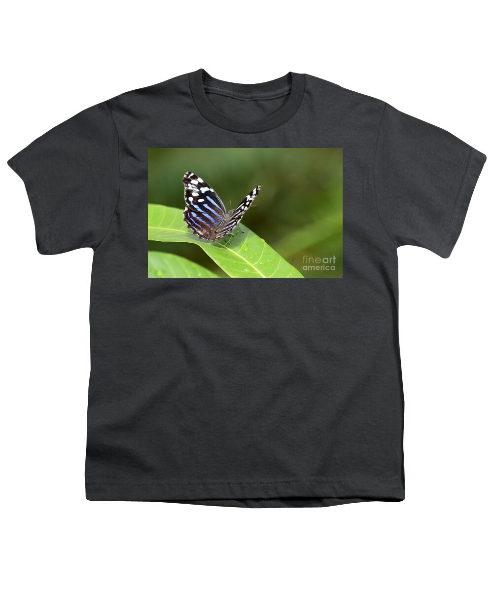 Butterfly Colorful Youth T-Shirt featuring the photograph Butterfly by Teresa Zieba