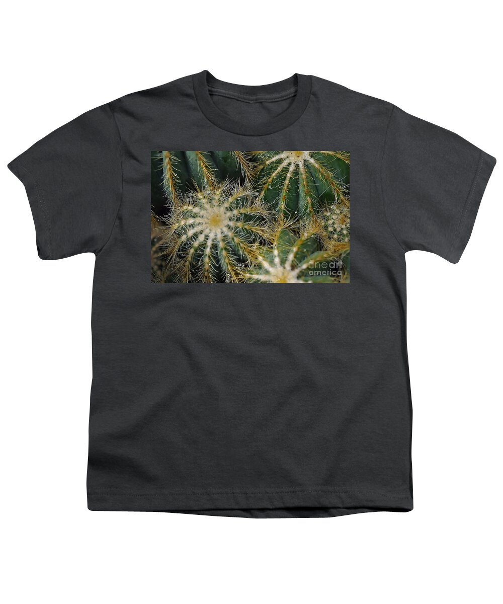 Cactus Youth T-Shirt featuring the photograph Cacti  Water Drops by Elaine Manley