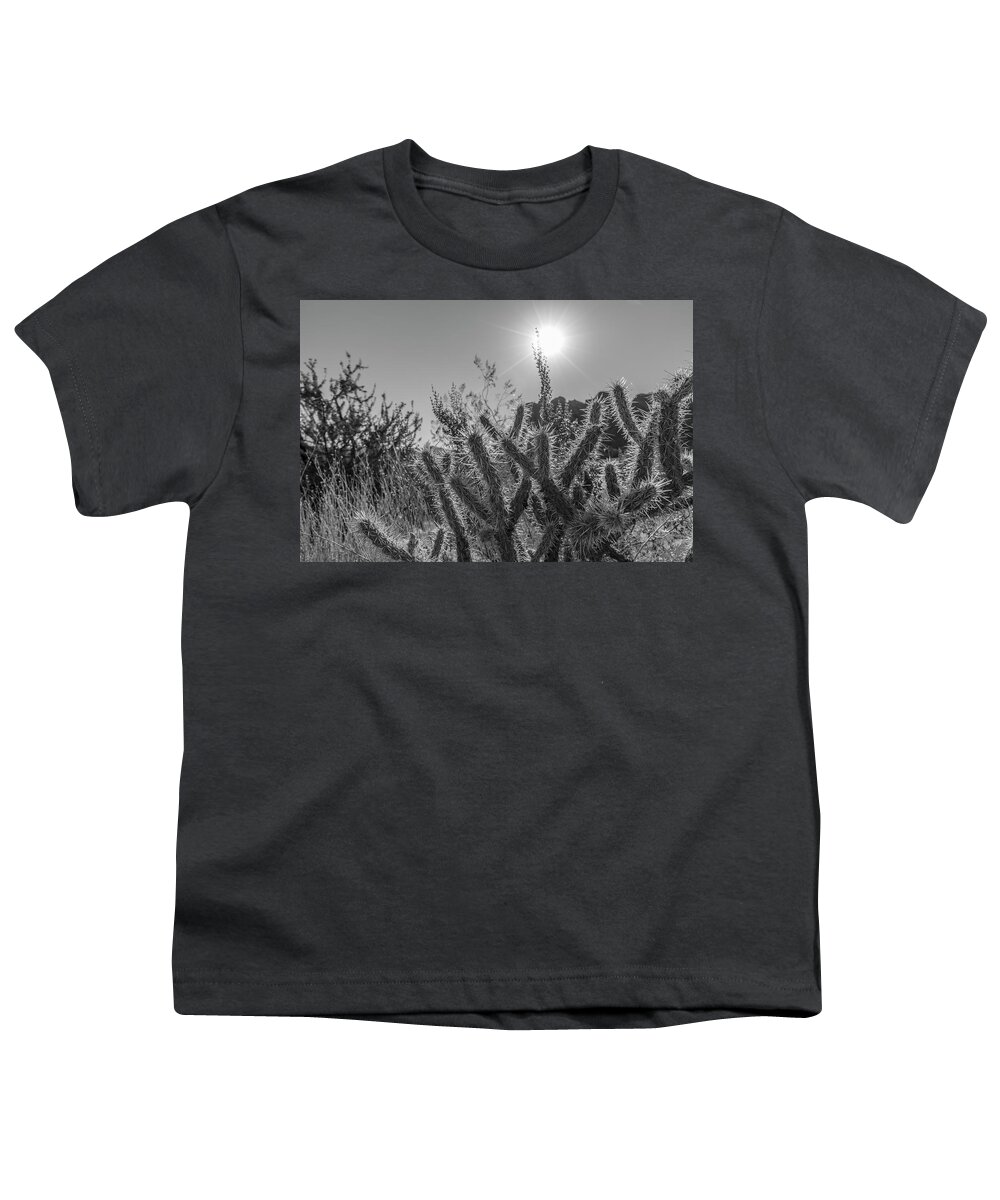 American West Youth T-Shirt featuring the photograph Cactus and Sun Valley of Fire State Park by John McGraw