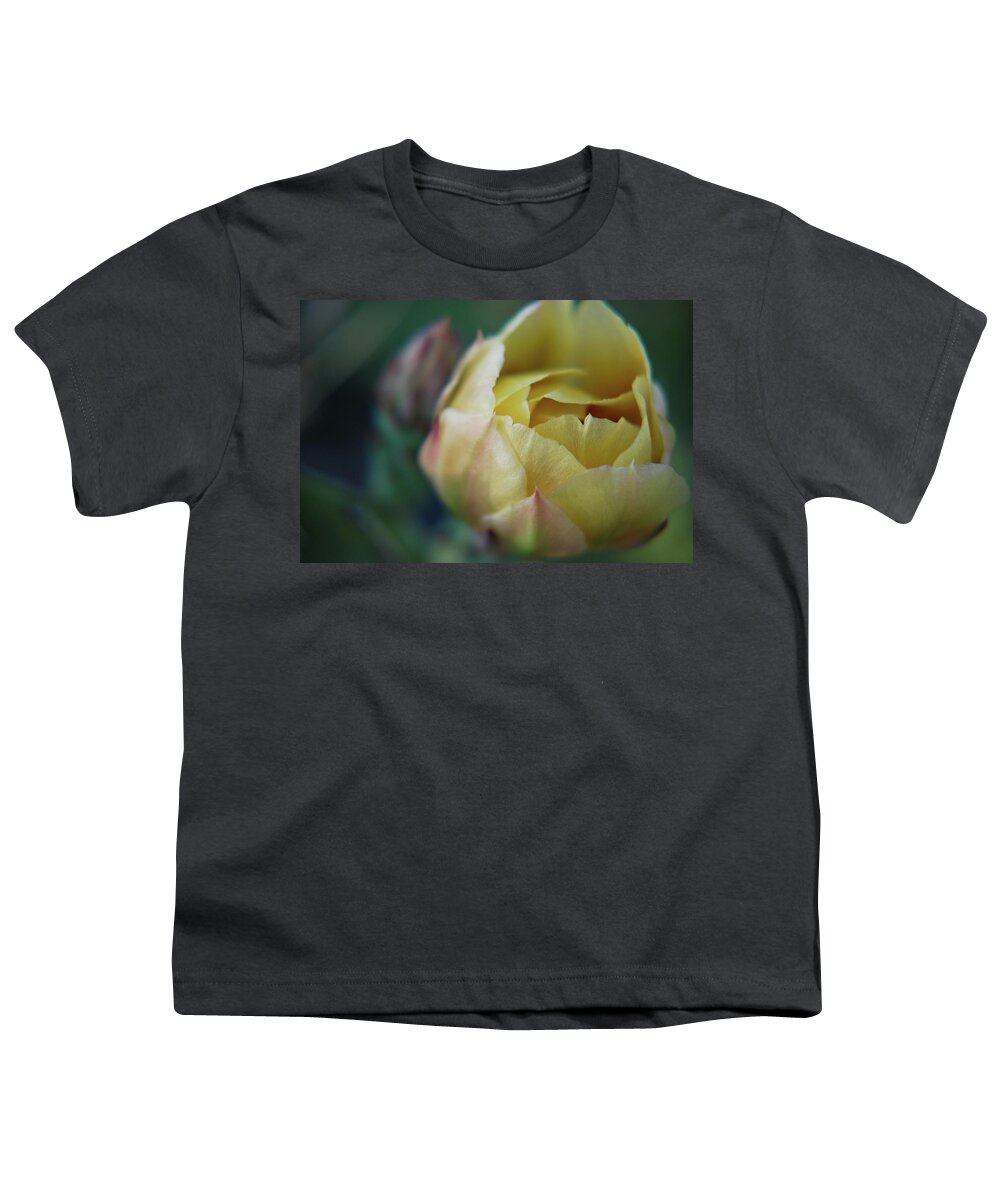 Cactus Youth T-Shirt featuring the photograph Cactus Beauty by Amee Cave