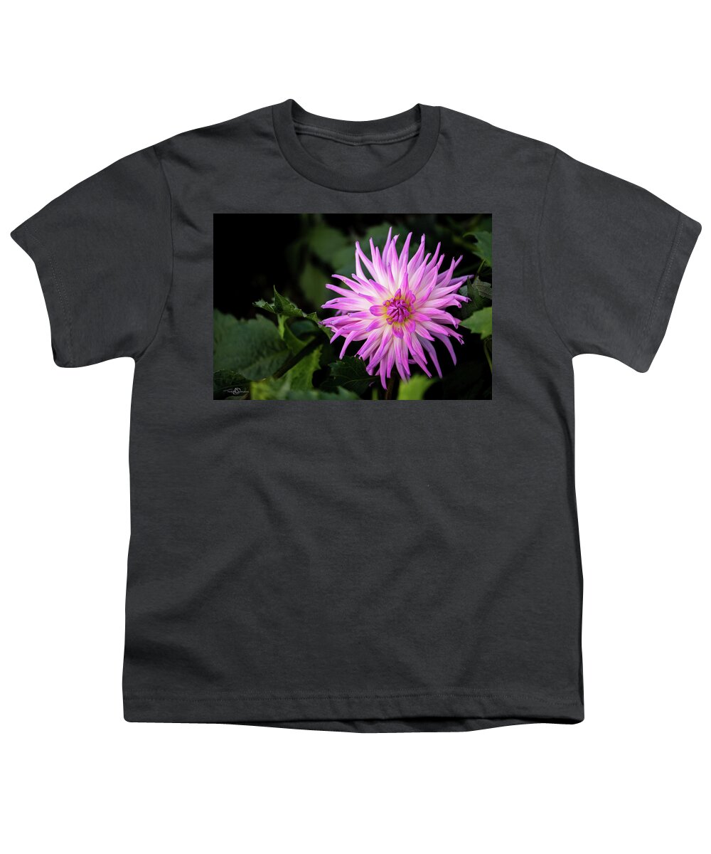 Cactus Dahlia ’violetta’ Youth T-Shirt featuring the photograph Cactus Dahlias named Violetta by Torbjorn Swenelius