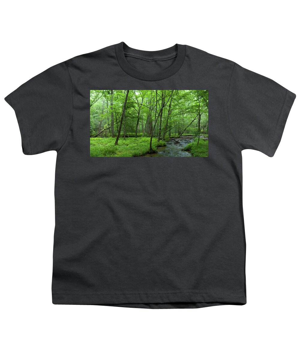 Great Smoky Mountains National Park Youth T-Shirt featuring the photograph Cade's Cove Stream and Forest by Cascade Colors