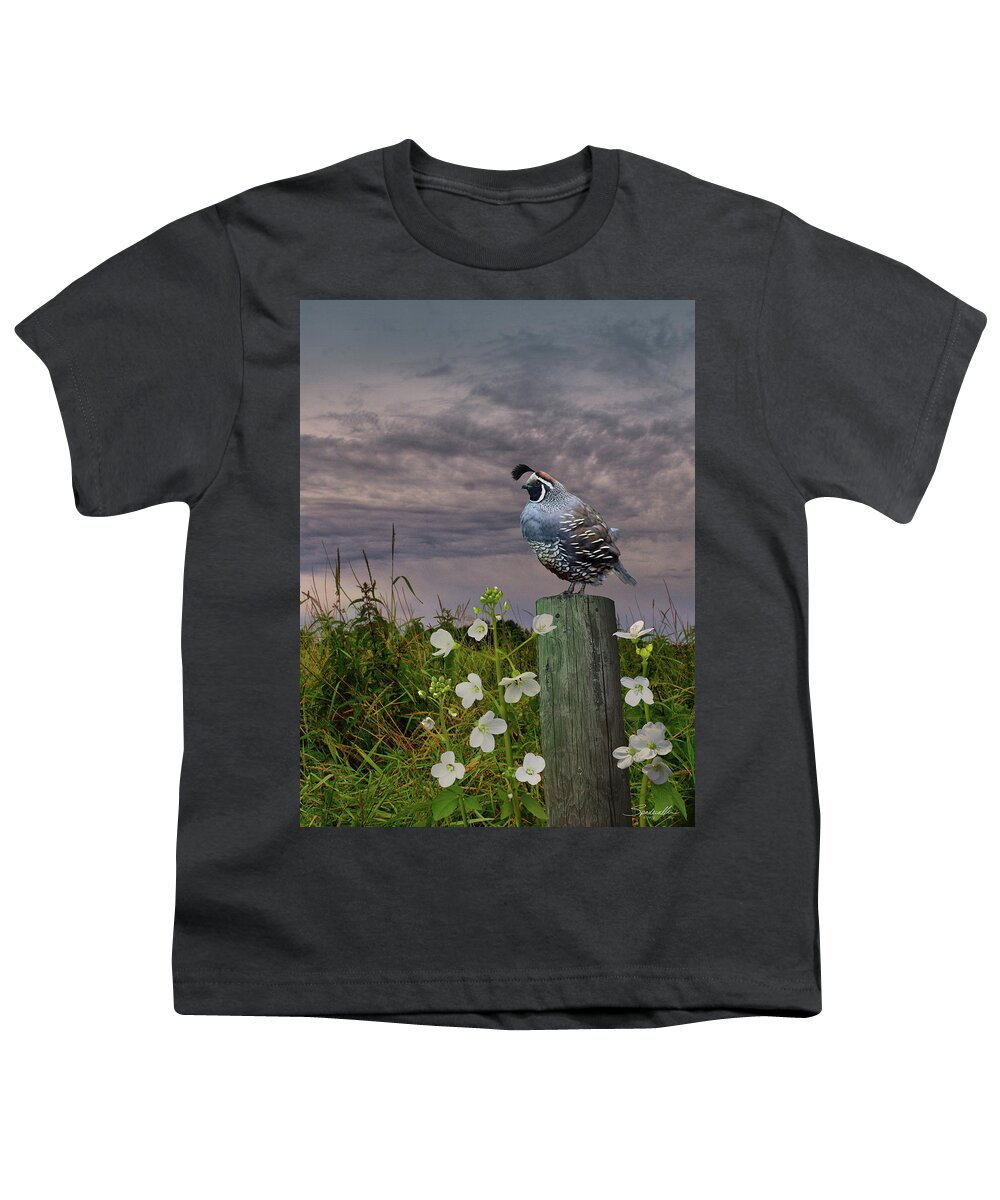 Bird Youth T-Shirt featuring the digital art California Quail and Milkmaids by M Spadecaller