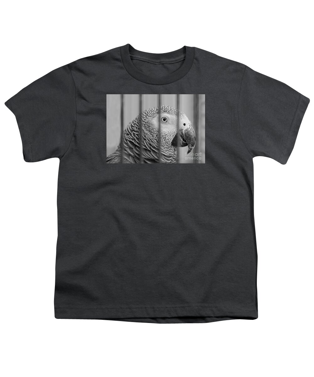 Parrot Youth T-Shirt featuring the photograph Call My Lawyer by Barbara McMahon