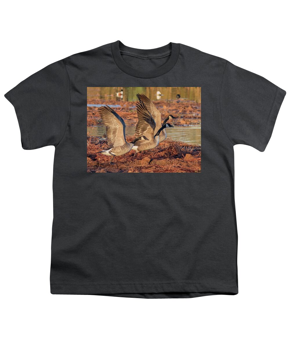 Canada Youth T-Shirt featuring the photograph Canada Geese 1698-011918-2cr by Tam Ryan