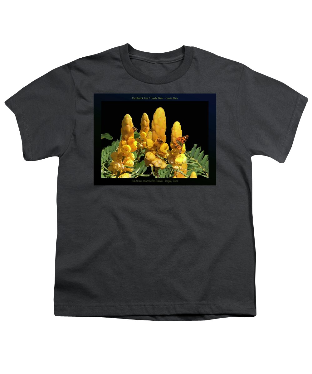 Yellow Flowers Youth T-Shirt featuring the photograph Candle Bush - Cassia Alata POSTER by Robert J Sadler