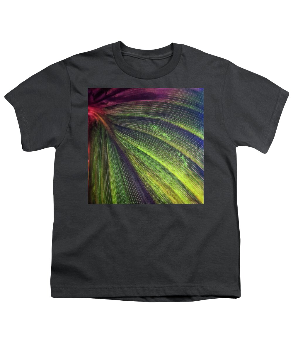 Canna Youth T-Shirt featuring the photograph Canna Square 1 by Jill Love