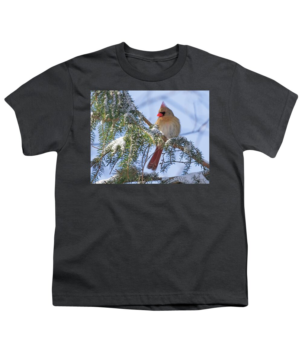 Cardinal Youth T-Shirt featuring the photograph Cardinal Female in Snow by Mindy Musick King