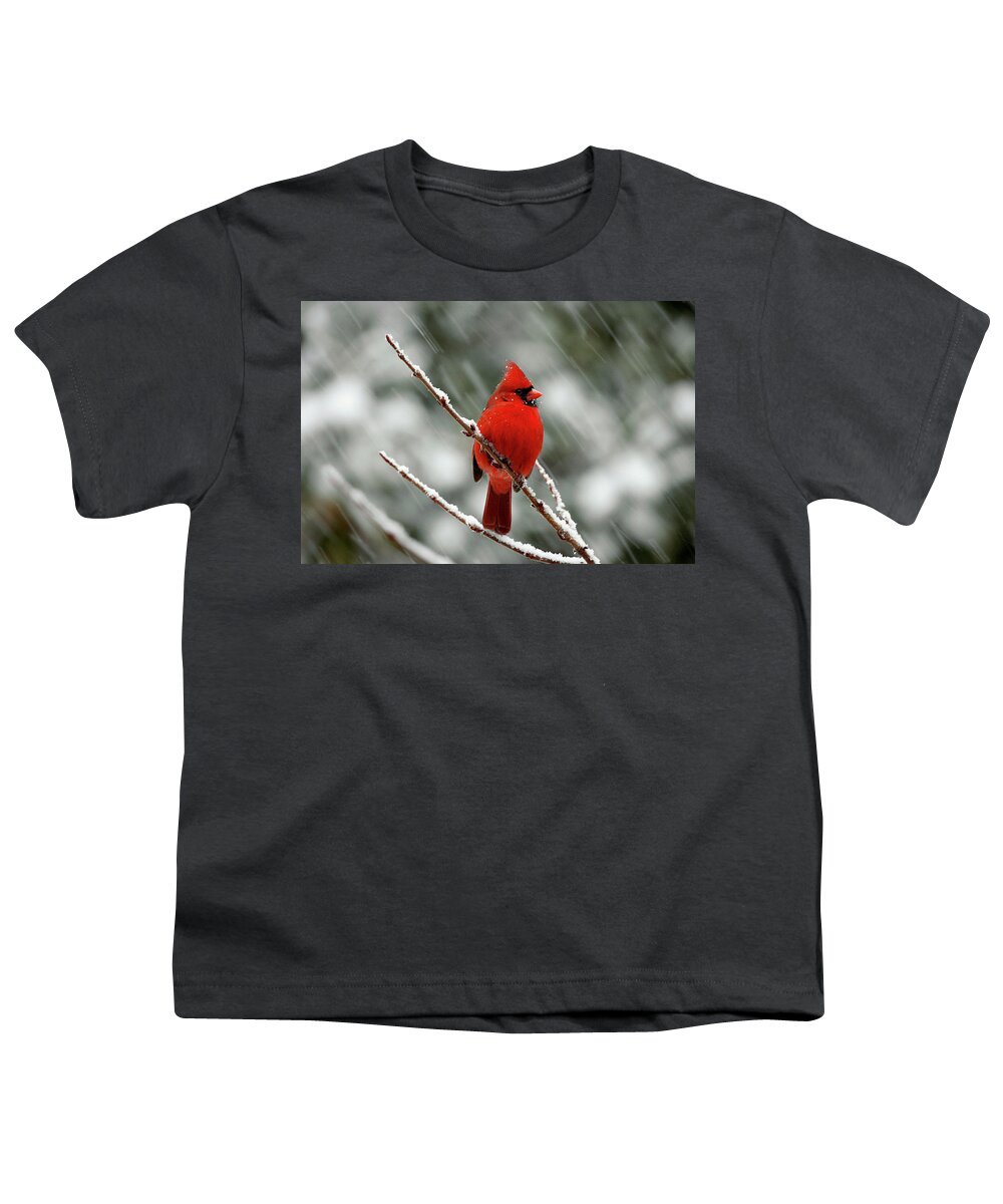 Nature Youth T-Shirt featuring the photograph Cardinal in the Snow by Gina Fitzhugh