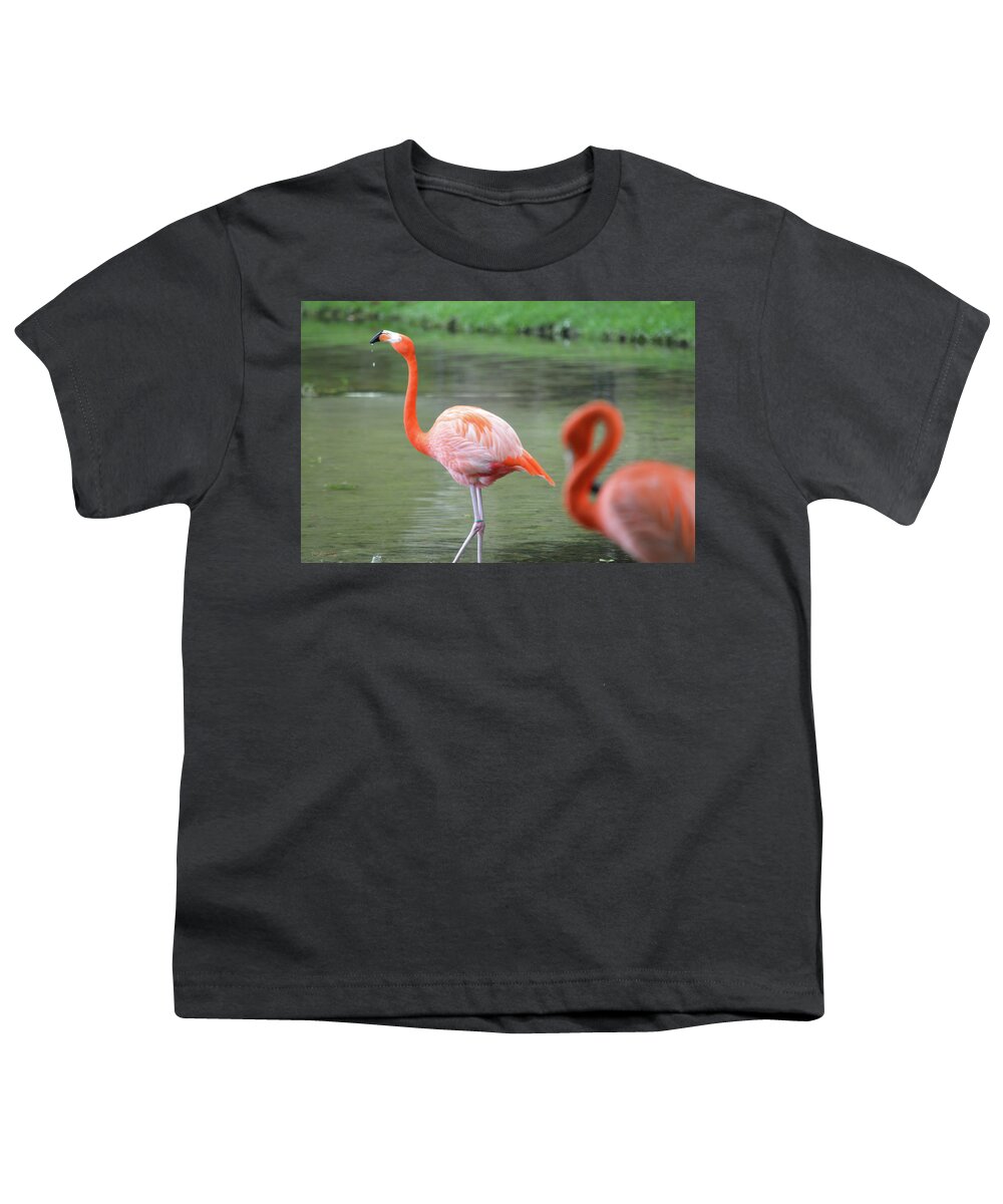 Loxahatchee Youth T-Shirt featuring the photograph Caribbean Flamingos 2 by Ken Figurski