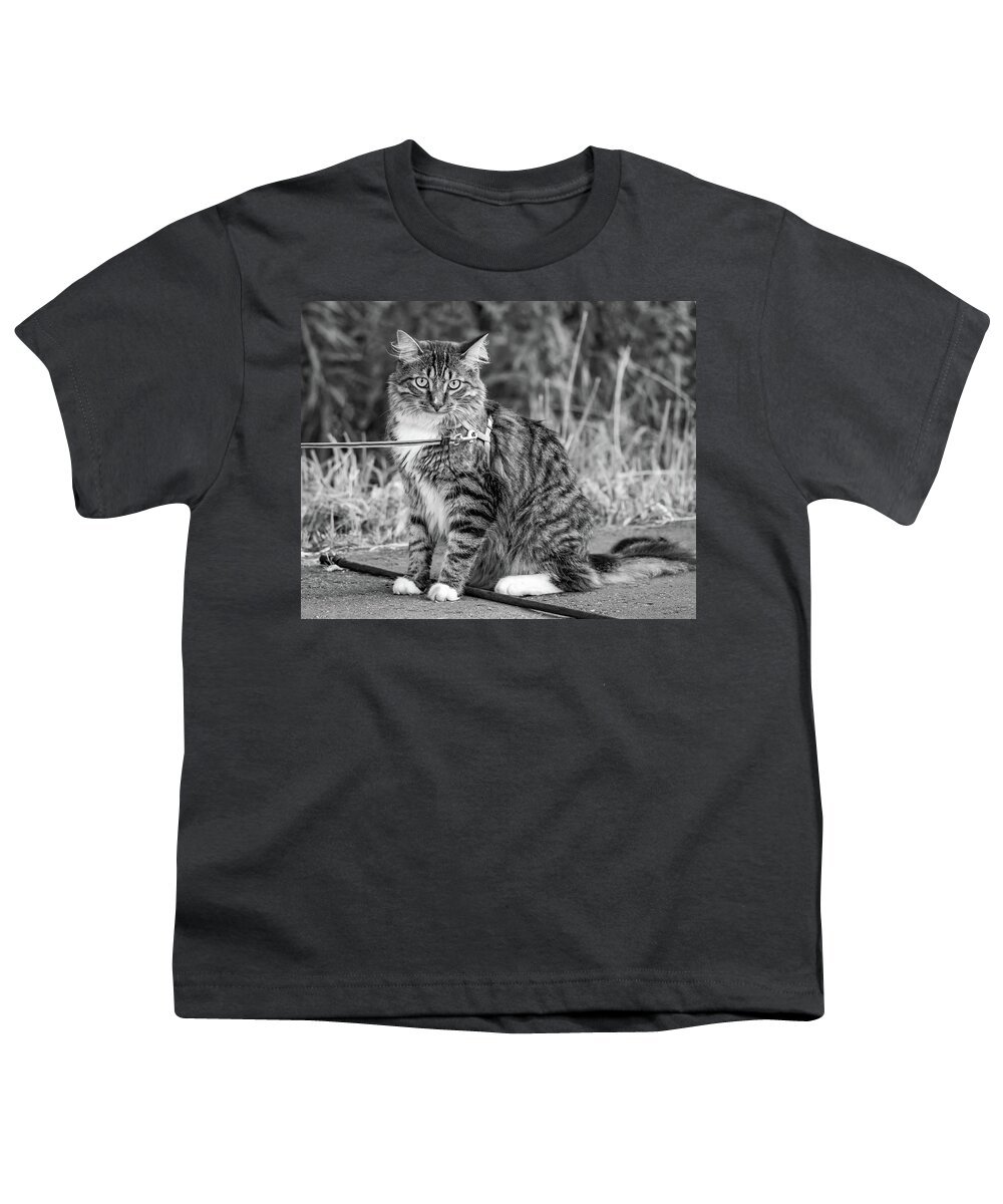 Steve Harrington Youth T-Shirt featuring the photograph Cat Determination bw by Steve Harrington