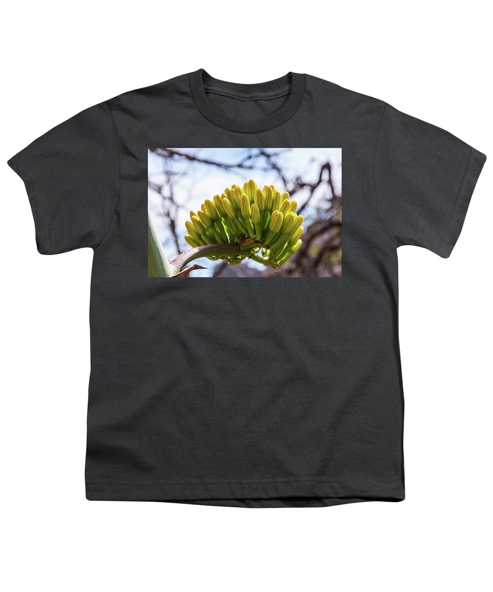 Big Bend National Park Youth T-Shirt featuring the photograph Century PLant Flower by Lon Dittrick