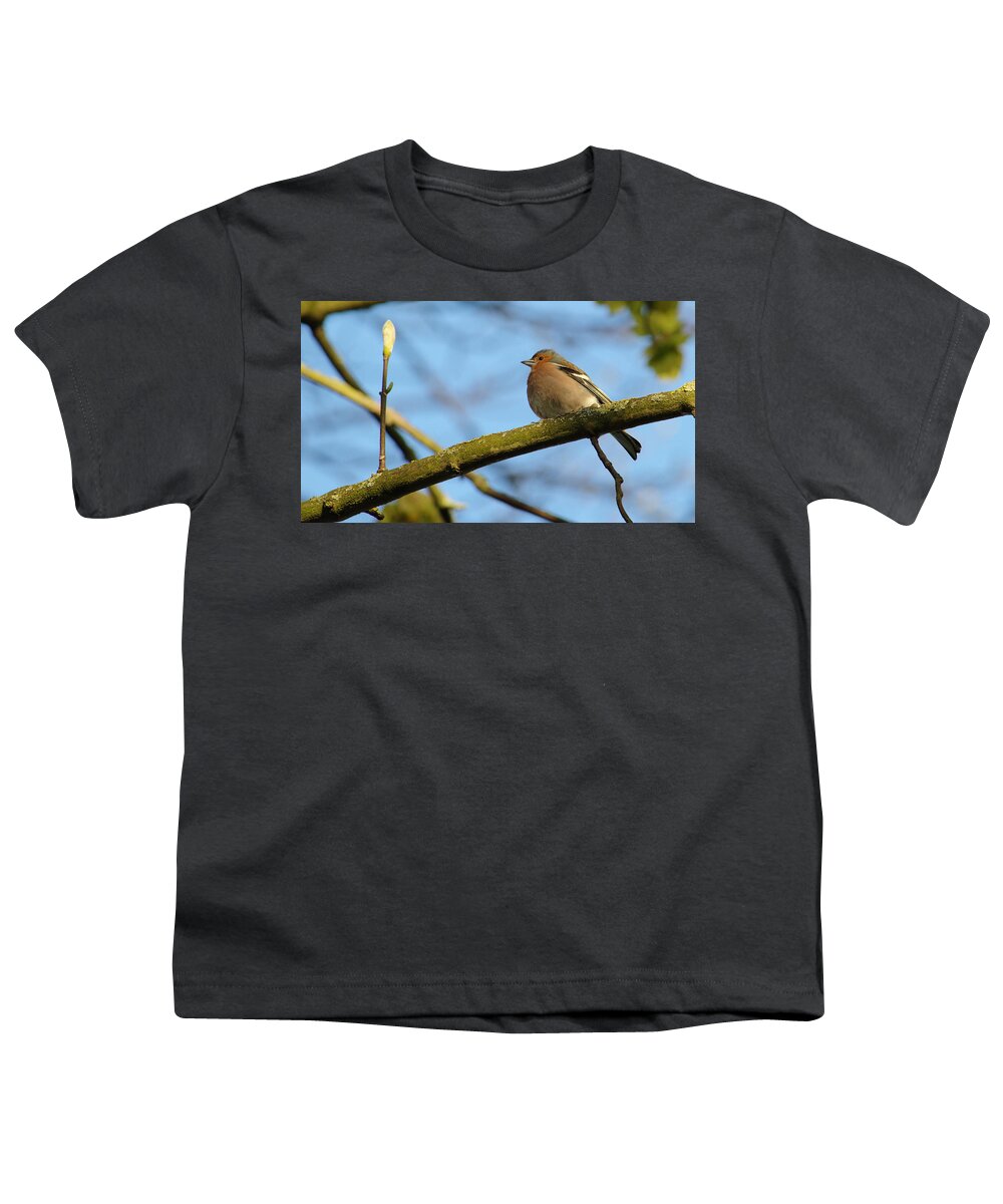Bird Youth T-Shirt featuring the photograph Chaffinch And Bud by Adrian Wale