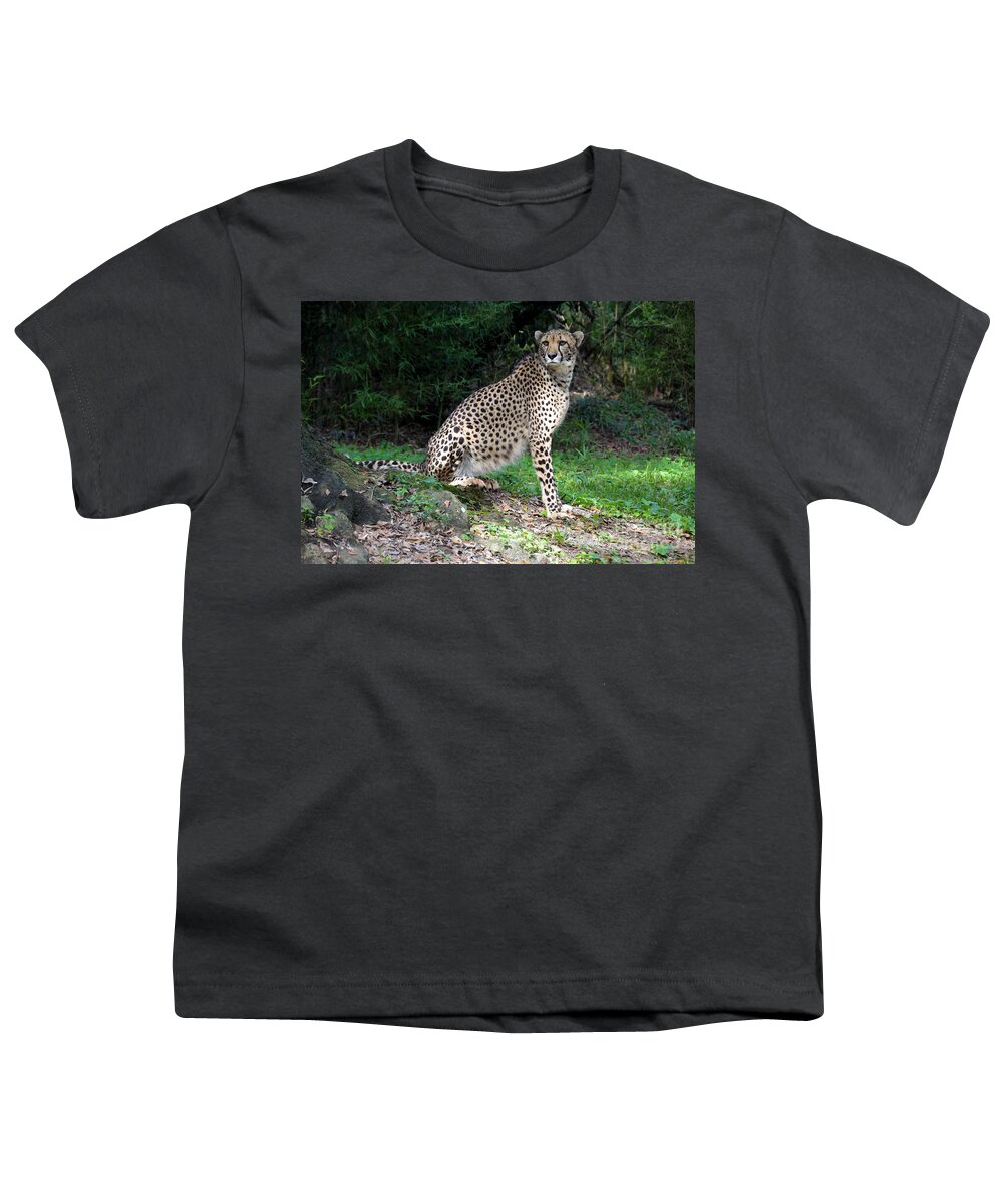 Cheetah Youth T-Shirt featuring the photograph Cheetah Watching by Catherine Sherman