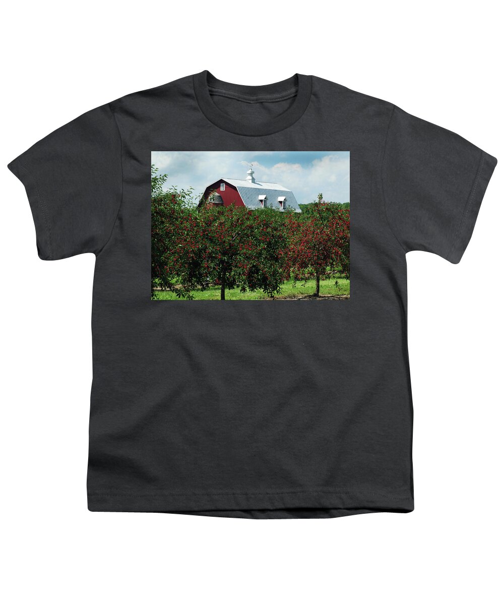 Door County Youth T-Shirt featuring the photograph Cherry Orchard and Barn by David T Wilkinson
