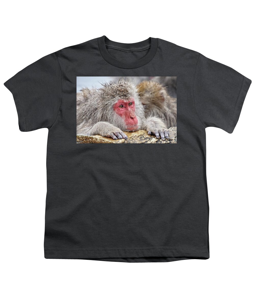 Snow Monkey Youth T-Shirt featuring the photograph Chilling by Kuni Photography
