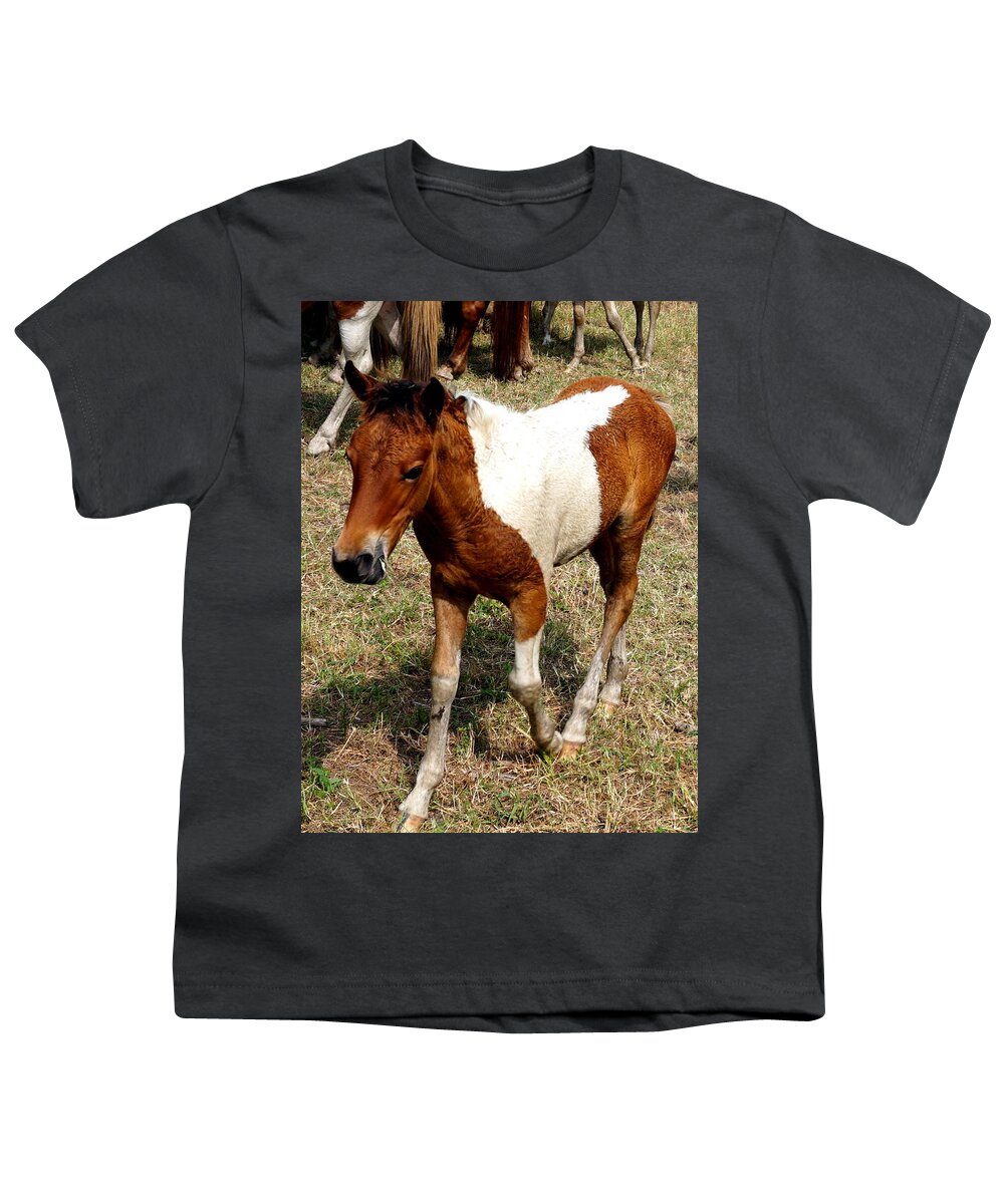 Chincoteague Youth T-Shirt featuring the photograph Chincoteague Wild Pony Swim Pony Horse by Katy Hawk