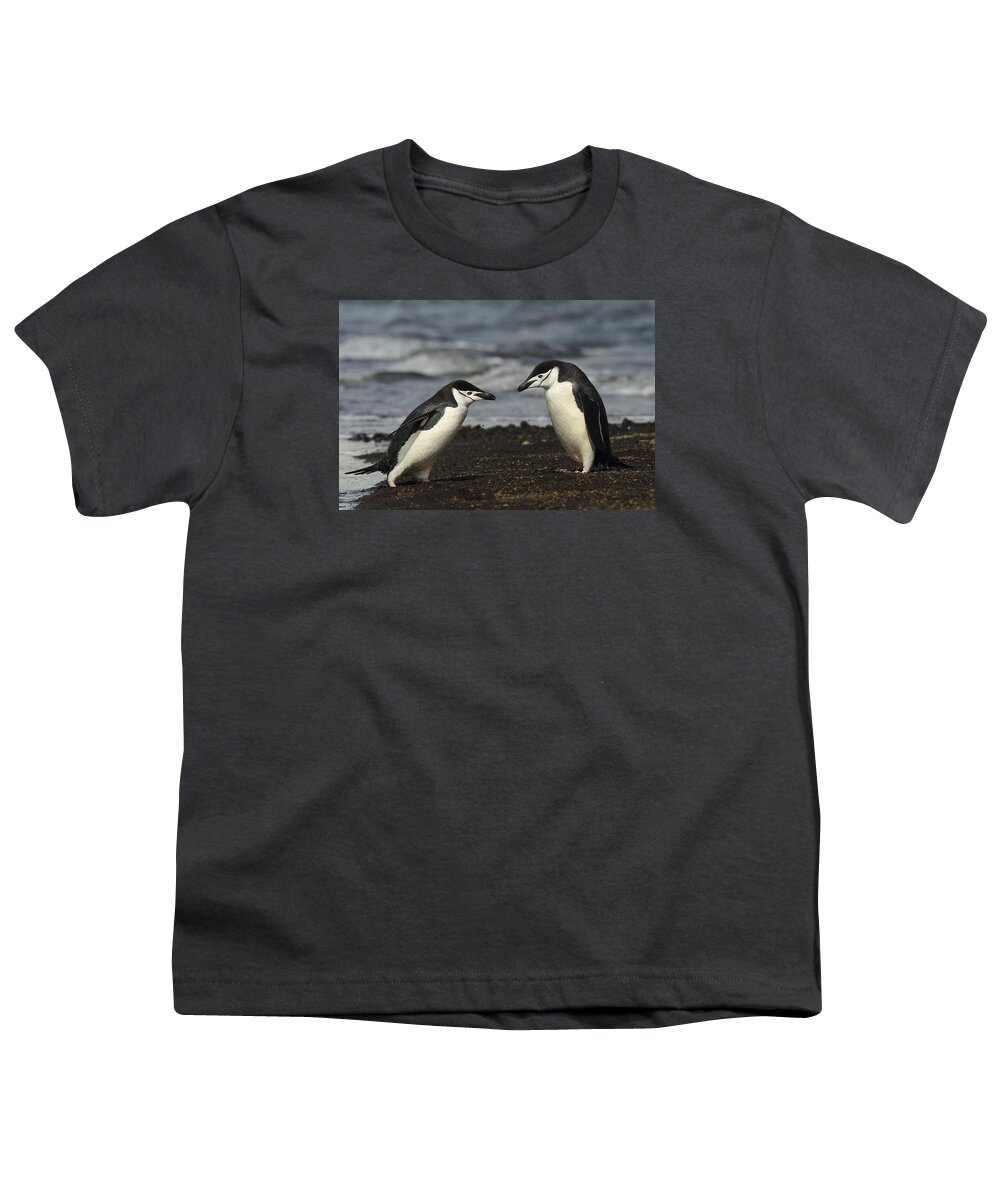 Penguin Youth T-Shirt featuring the photograph Chinstrap Penguin Duo by Bruce J Robinson