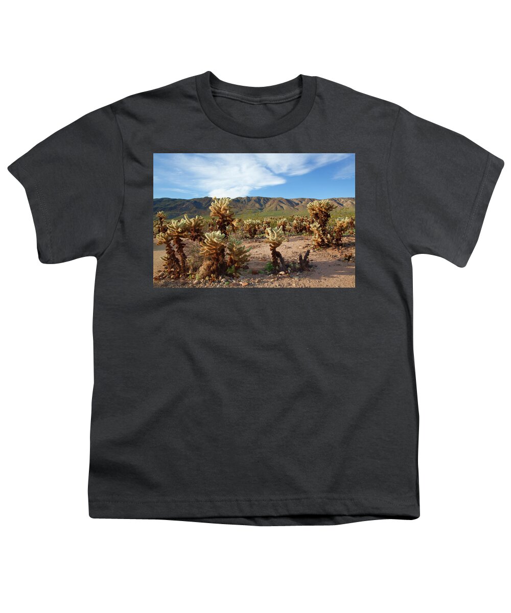 Joshua Tree National Park Youth T-Shirt featuring the photograph Cholla Cactus Garden - Joshua Tree National Park by Ram Vasudev