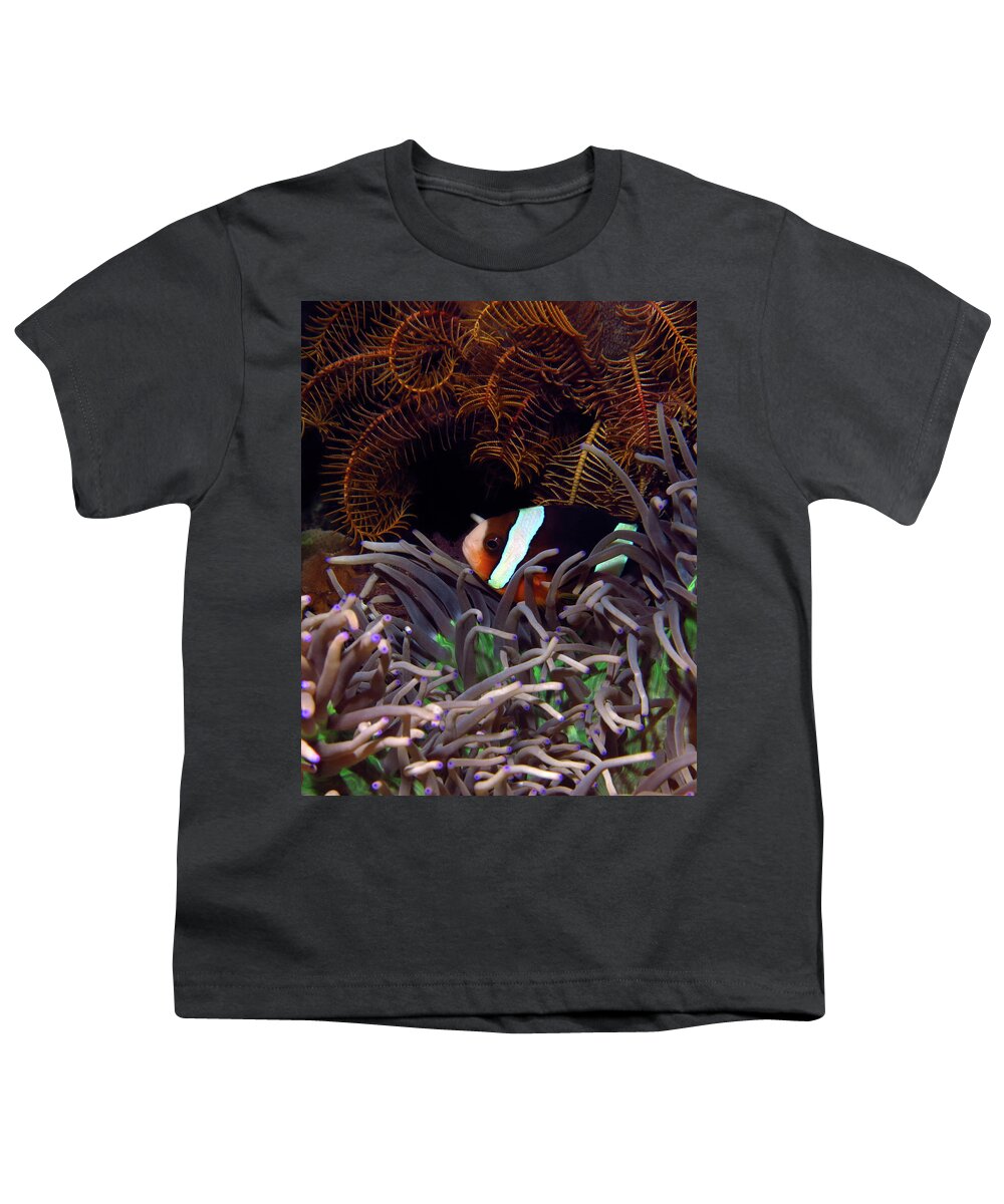 Clark's Anemonefish Youth T-Shirt featuring the photograph Clark's Anemonefish, Indonesia 2 by Pauline Walsh Jacobson