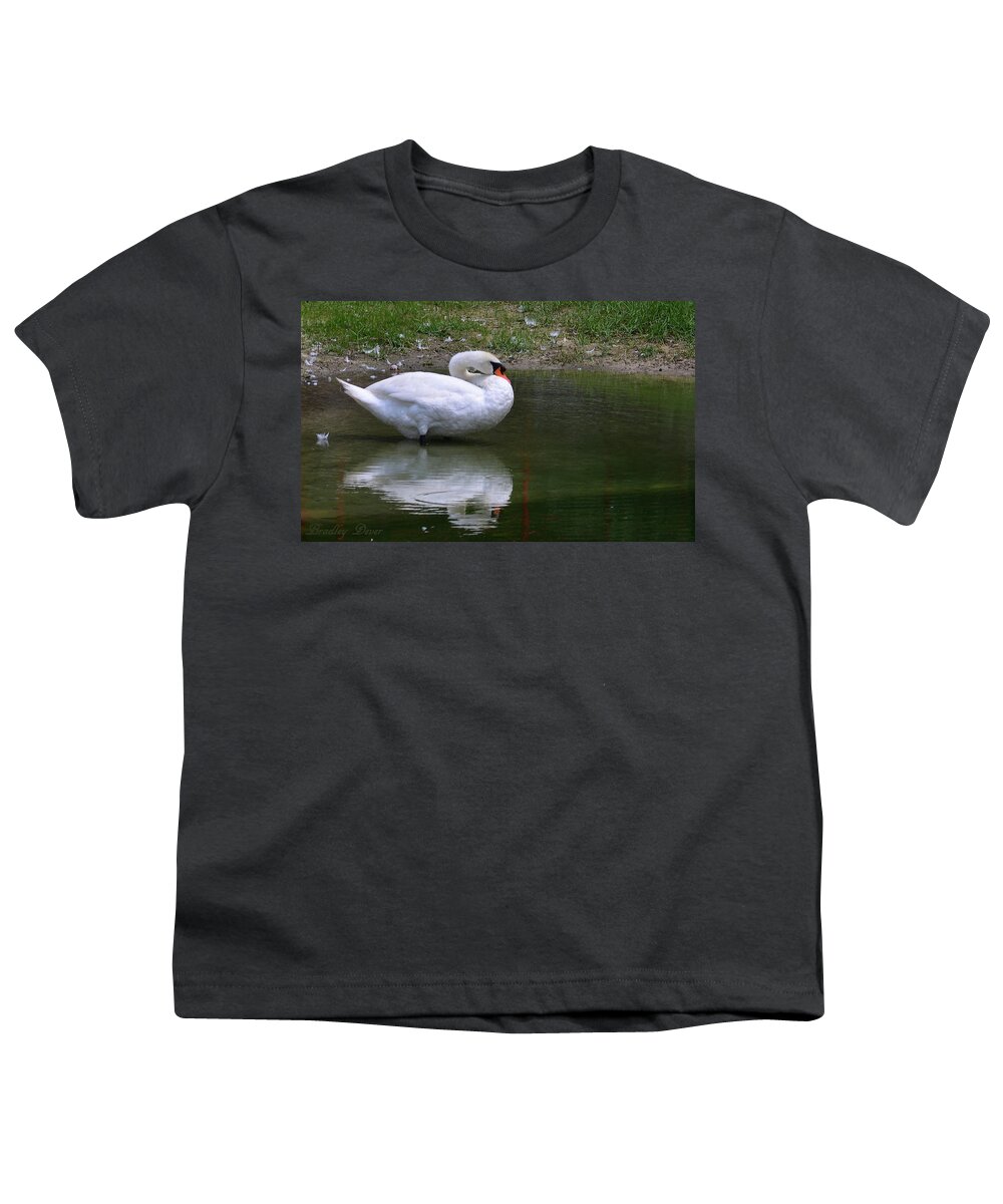 Art Youth T-Shirt featuring the photograph Cleaning Swan by Bradley Dever