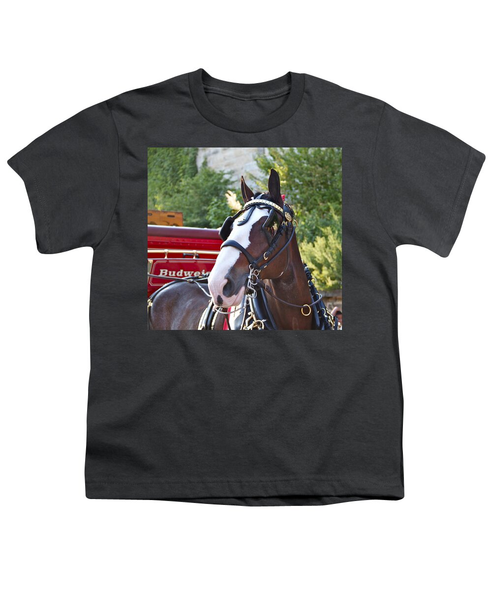 Clydesdale Horse Draft Esp Eastern State Penitentiary Budweiser Youth T-Shirt featuring the photograph Clydesdale at ESP by Alice Gipson