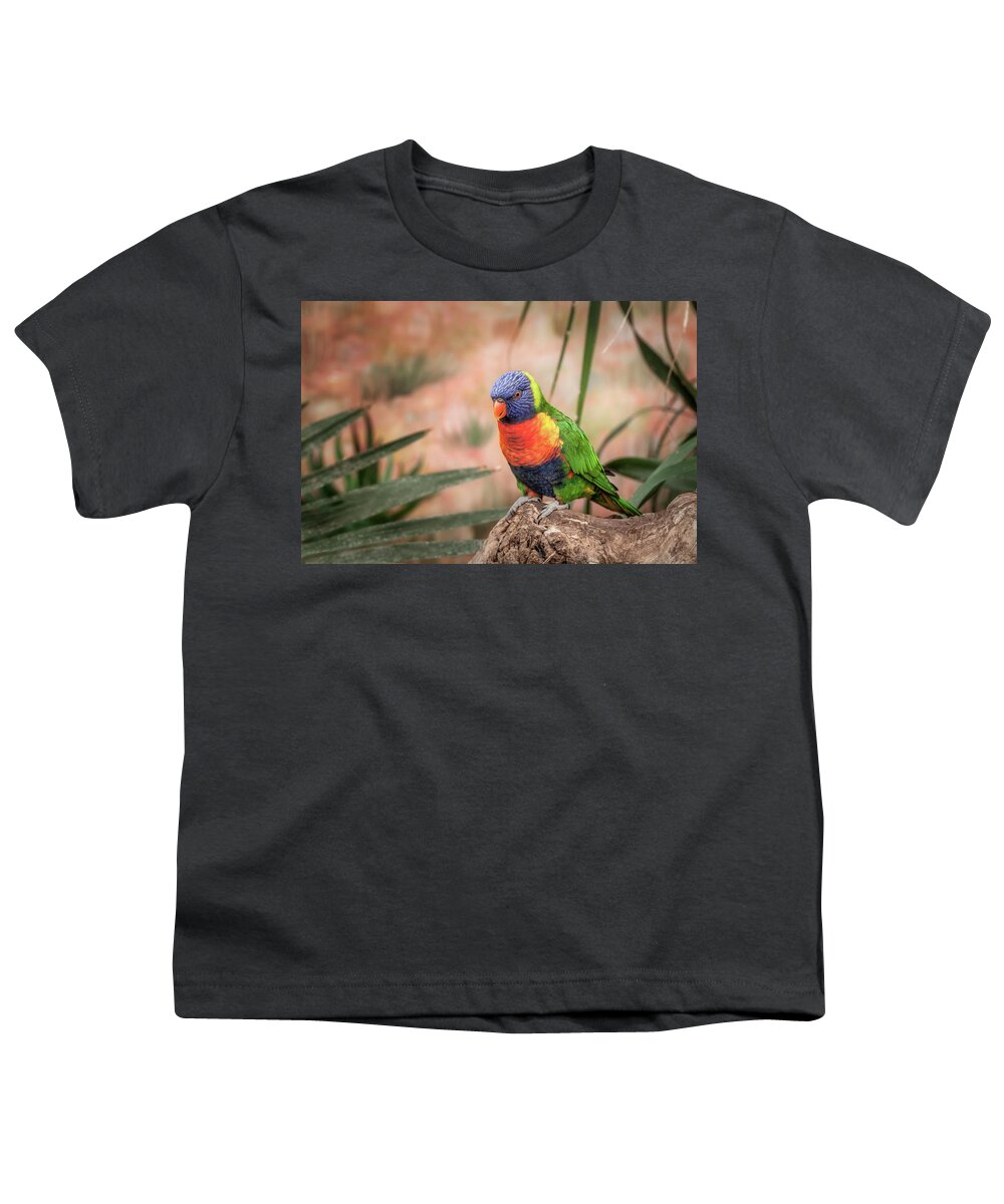 Animal Youth T-Shirt featuring the photograph Colorful Lory Bird by Tim Abeln