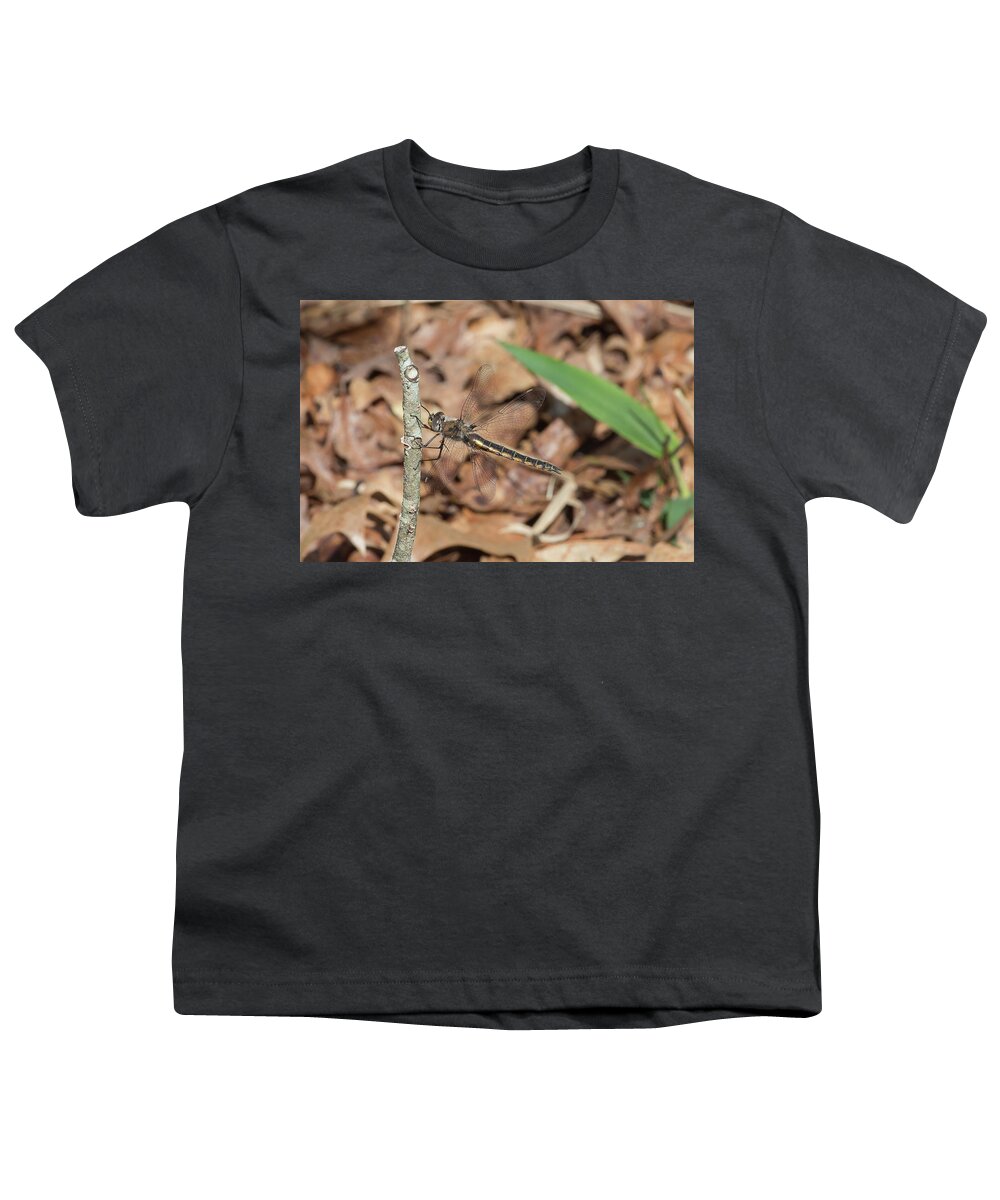 Ronnie Maum Youth T-Shirt featuring the photograph Common Baskettail by Ronnie Maum