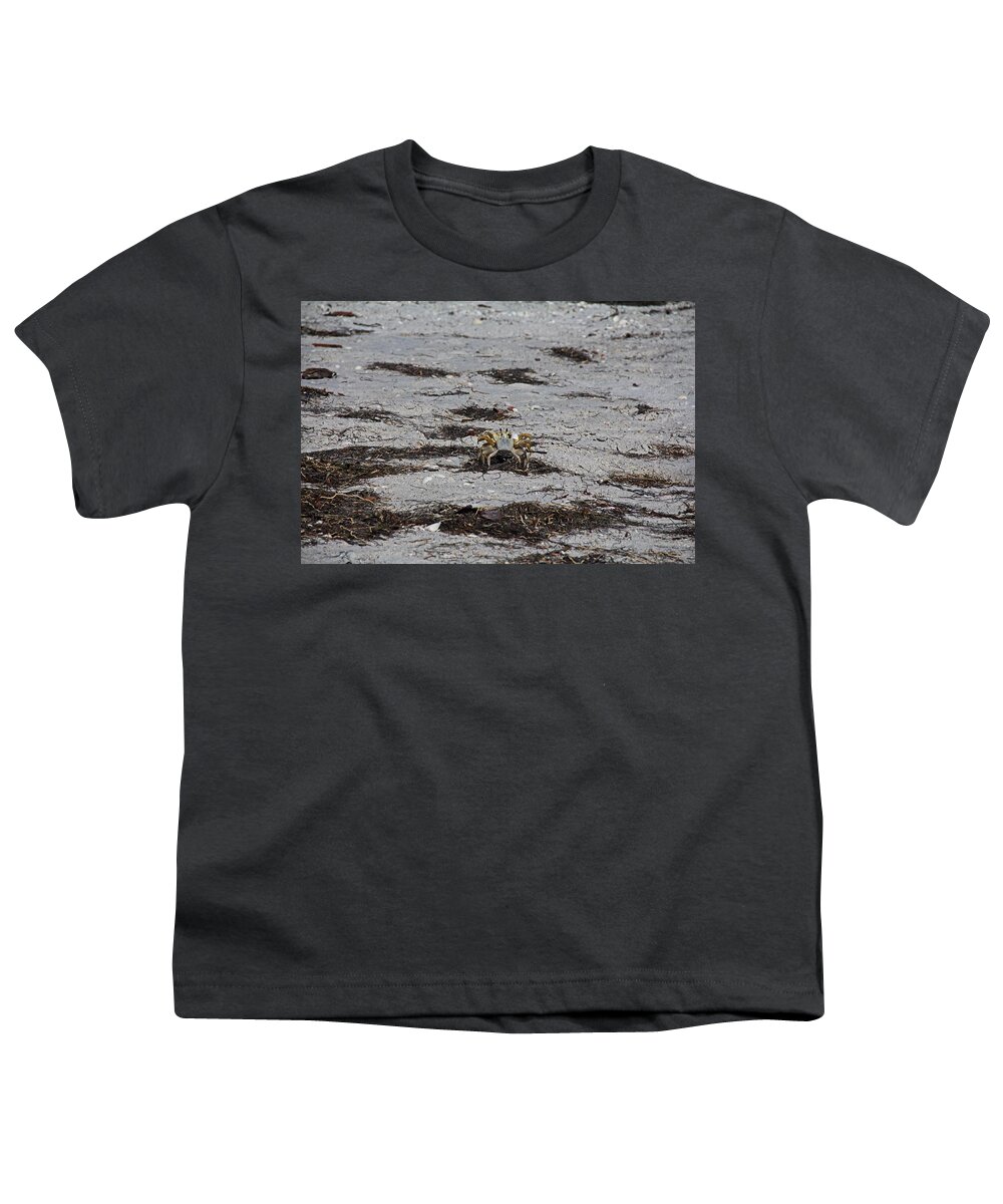 Crabs Youth T-Shirt featuring the photograph Competing Crabs by Michiale Schneider