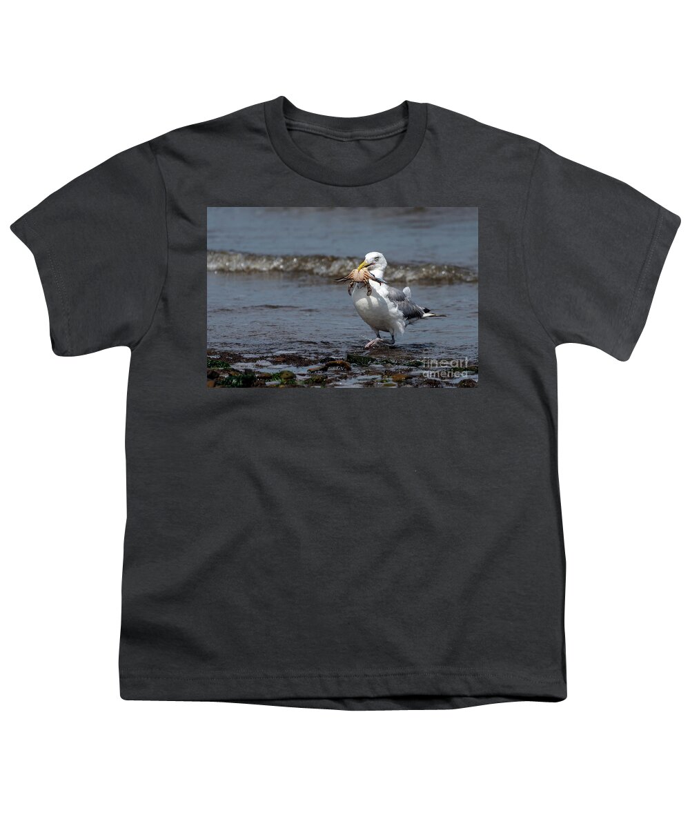 Laughing Gull Youth T-Shirt featuring the photograph Conquering warrior by Sam Rino