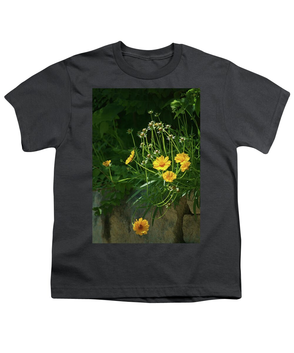 Coreopsis Youth T-Shirt featuring the photograph Coreopsis - Stone Wall by Nikolyn McDonald