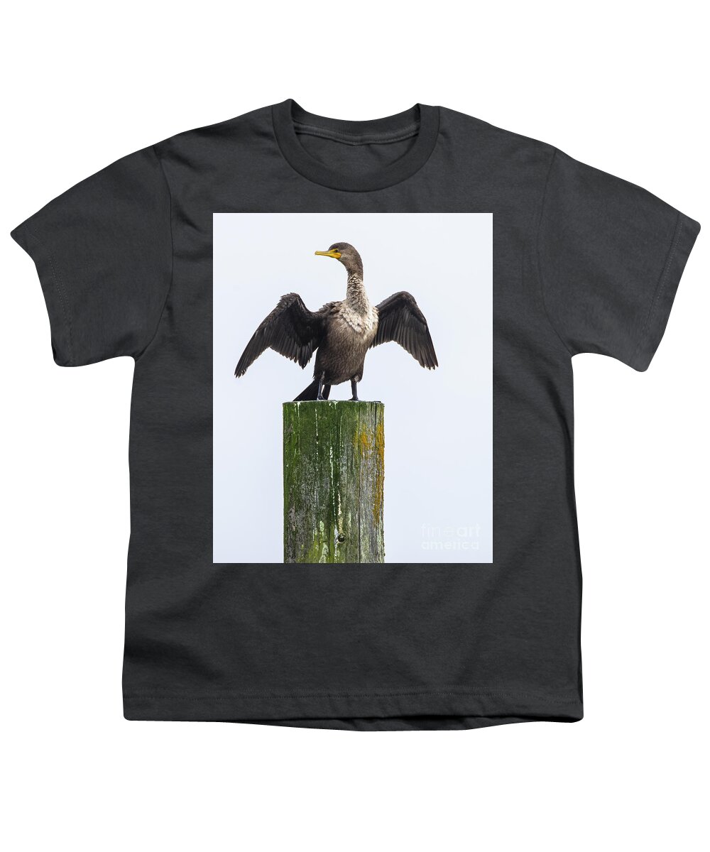 Natanson Youth T-Shirt featuring the photograph Cormorant Conducting by Steven Natanson
