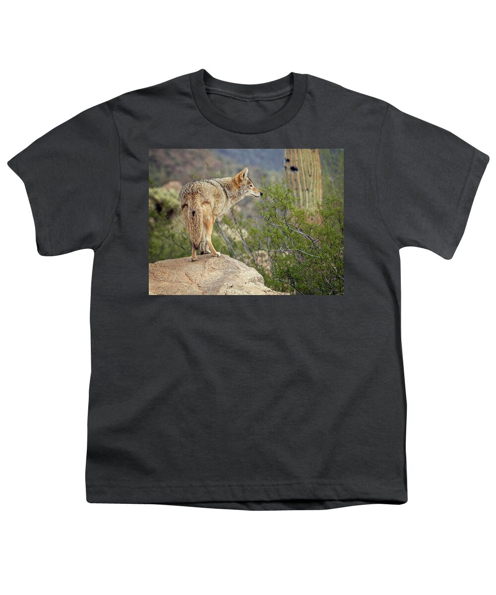 Coyote Youth T-Shirt featuring the photograph Coyote by Tam Ryan